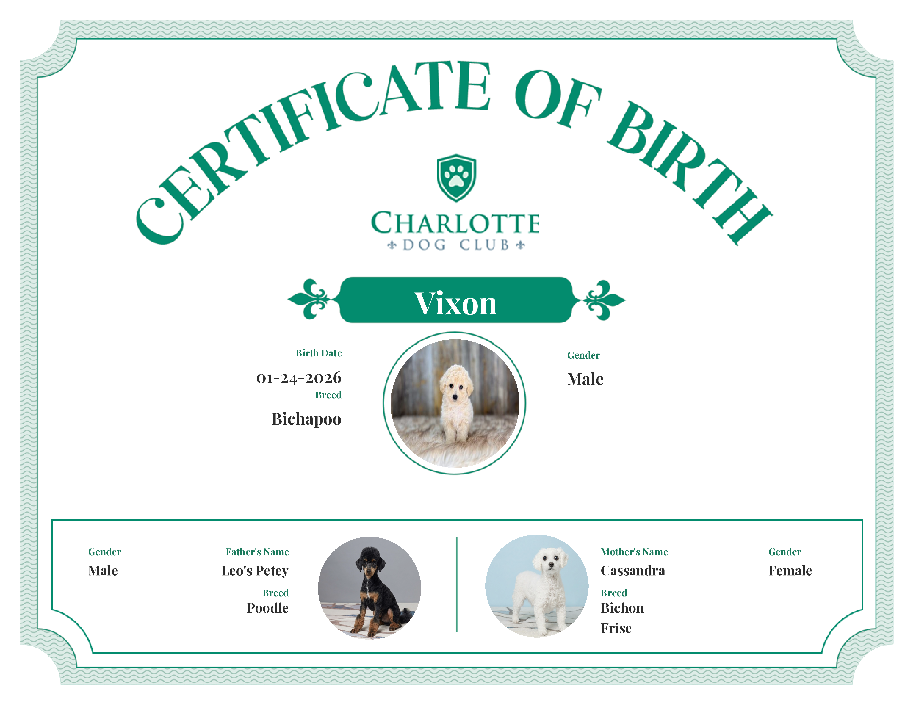Vixon's Birth Certificate