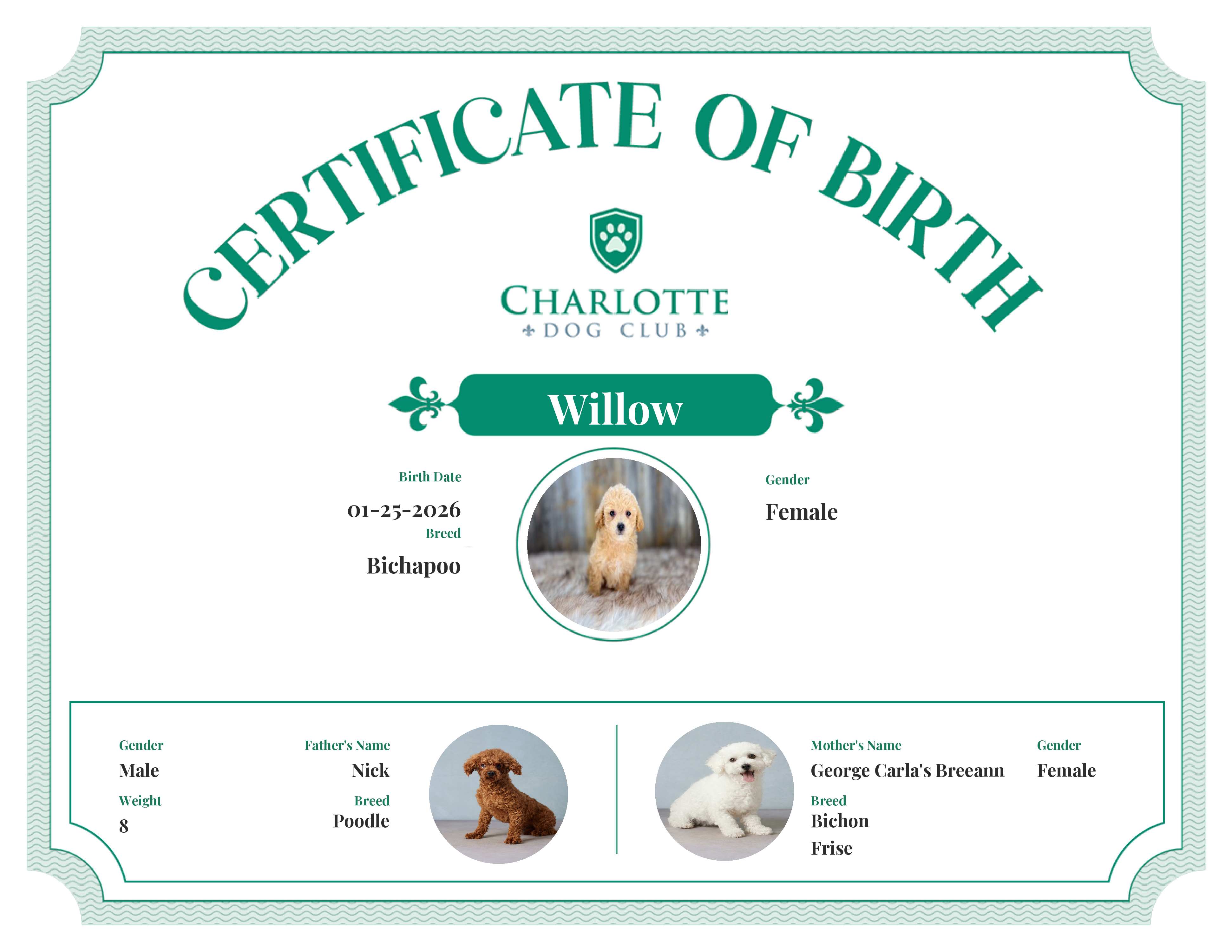 Willow's Birth Certificate