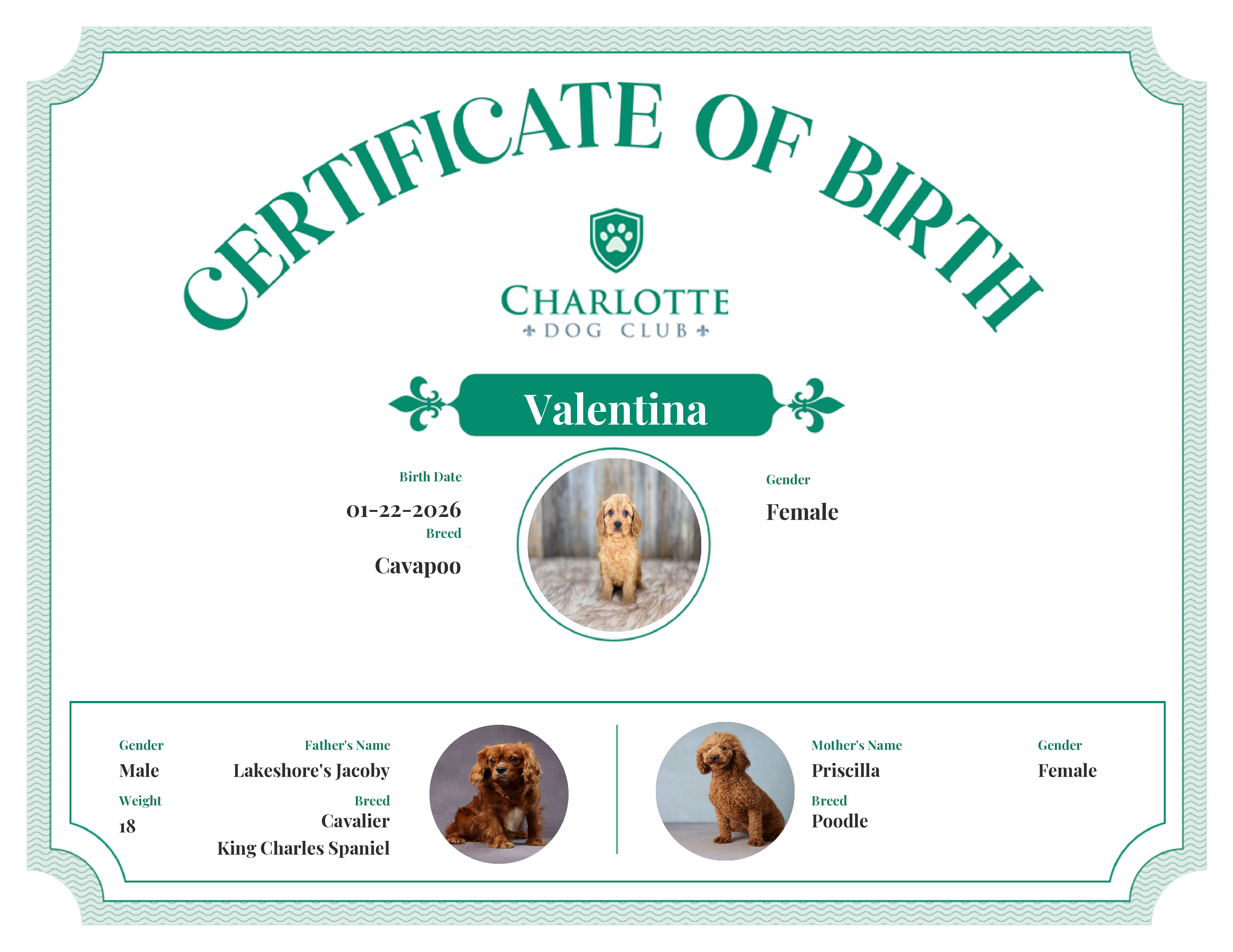 Valentina's Birth Certificate