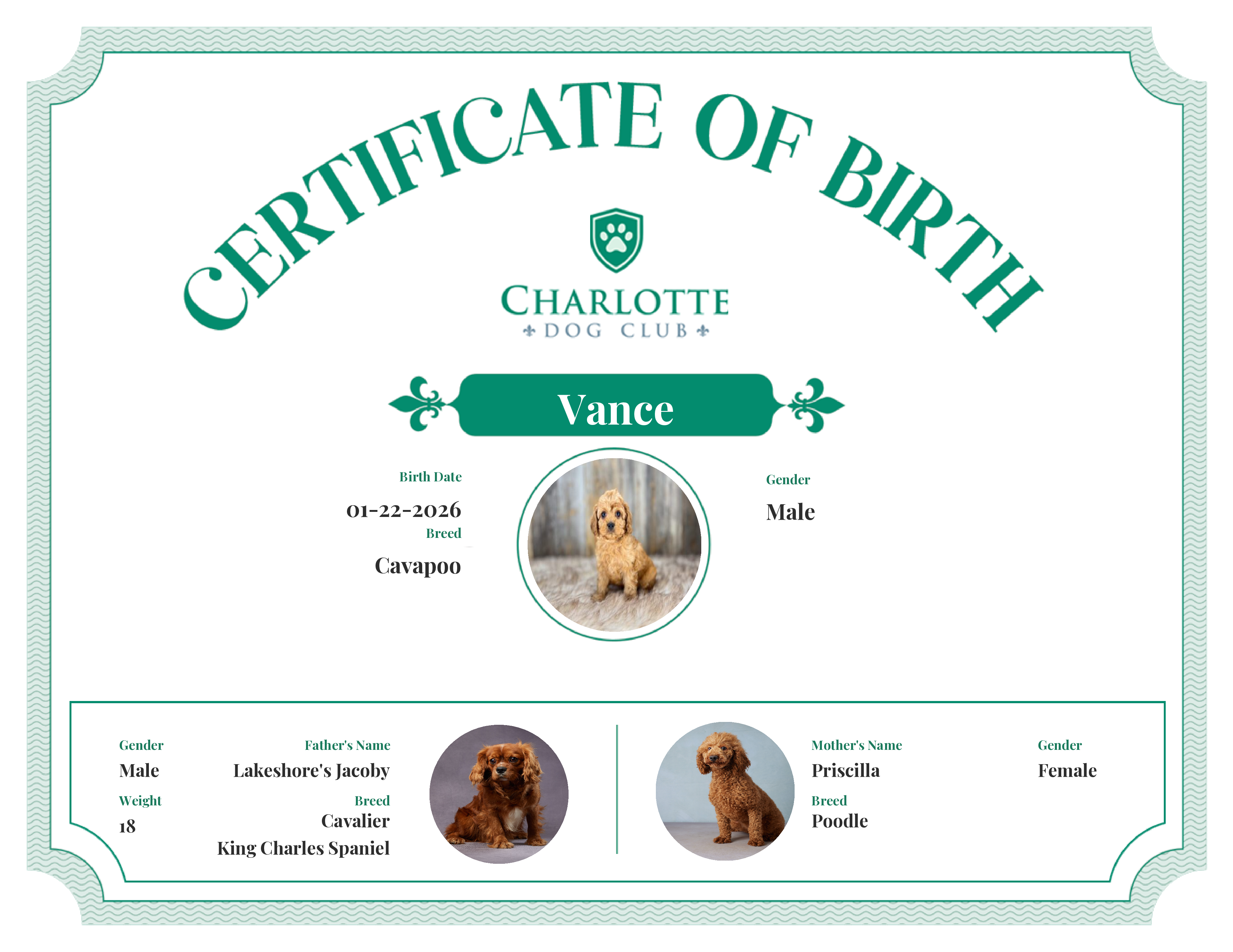 Vance's Birth Certificate