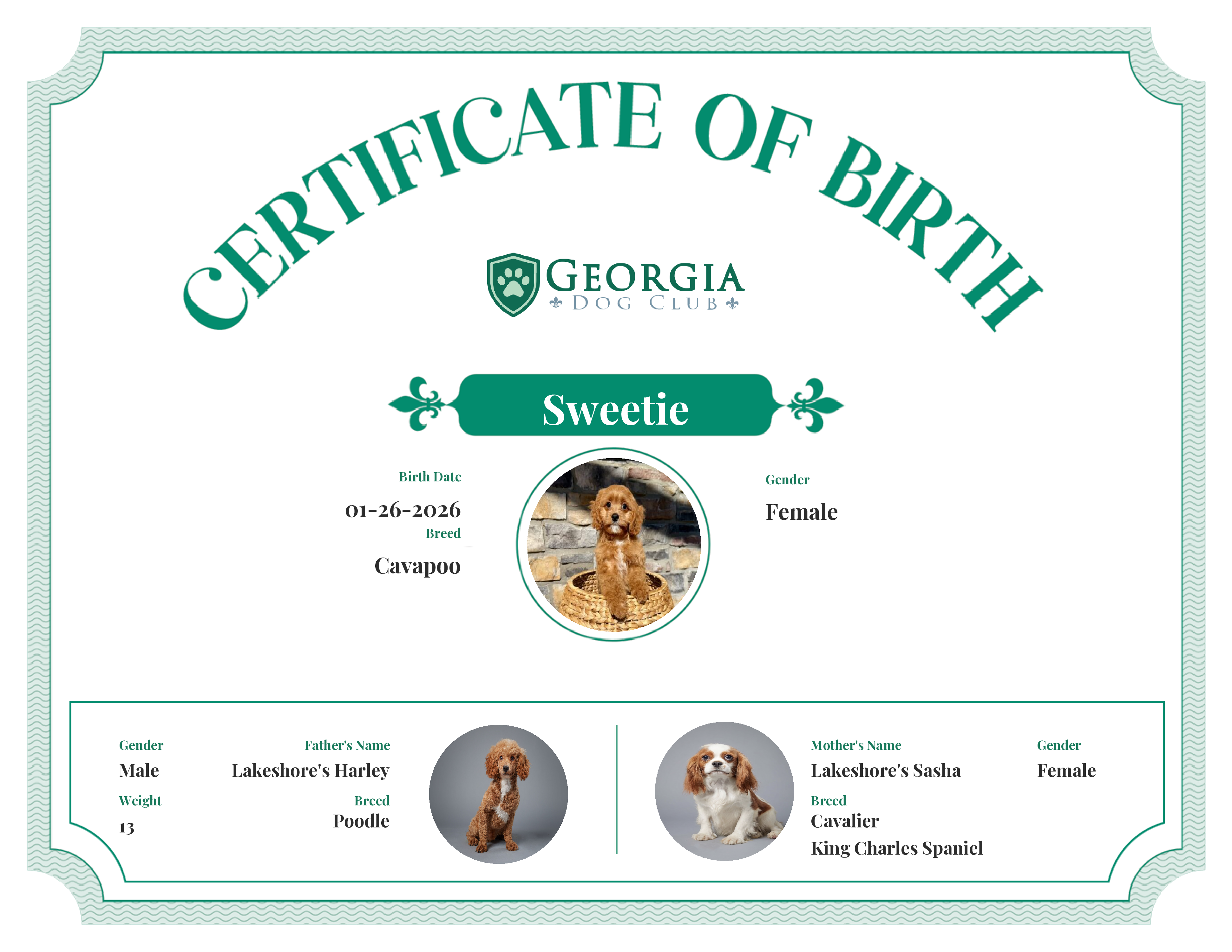 Sweetie's Birth Certificate