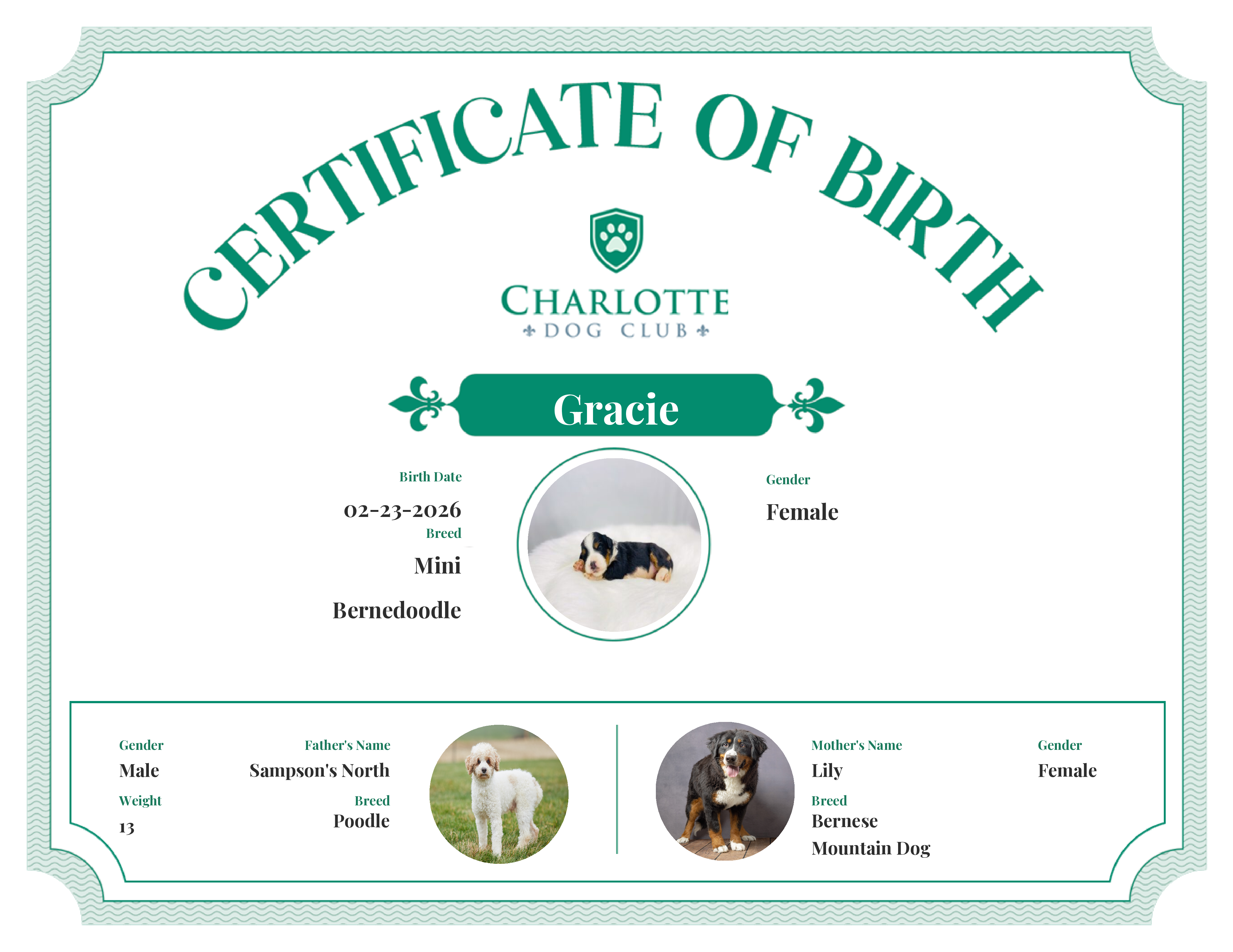 Gracie's Birth Certificate