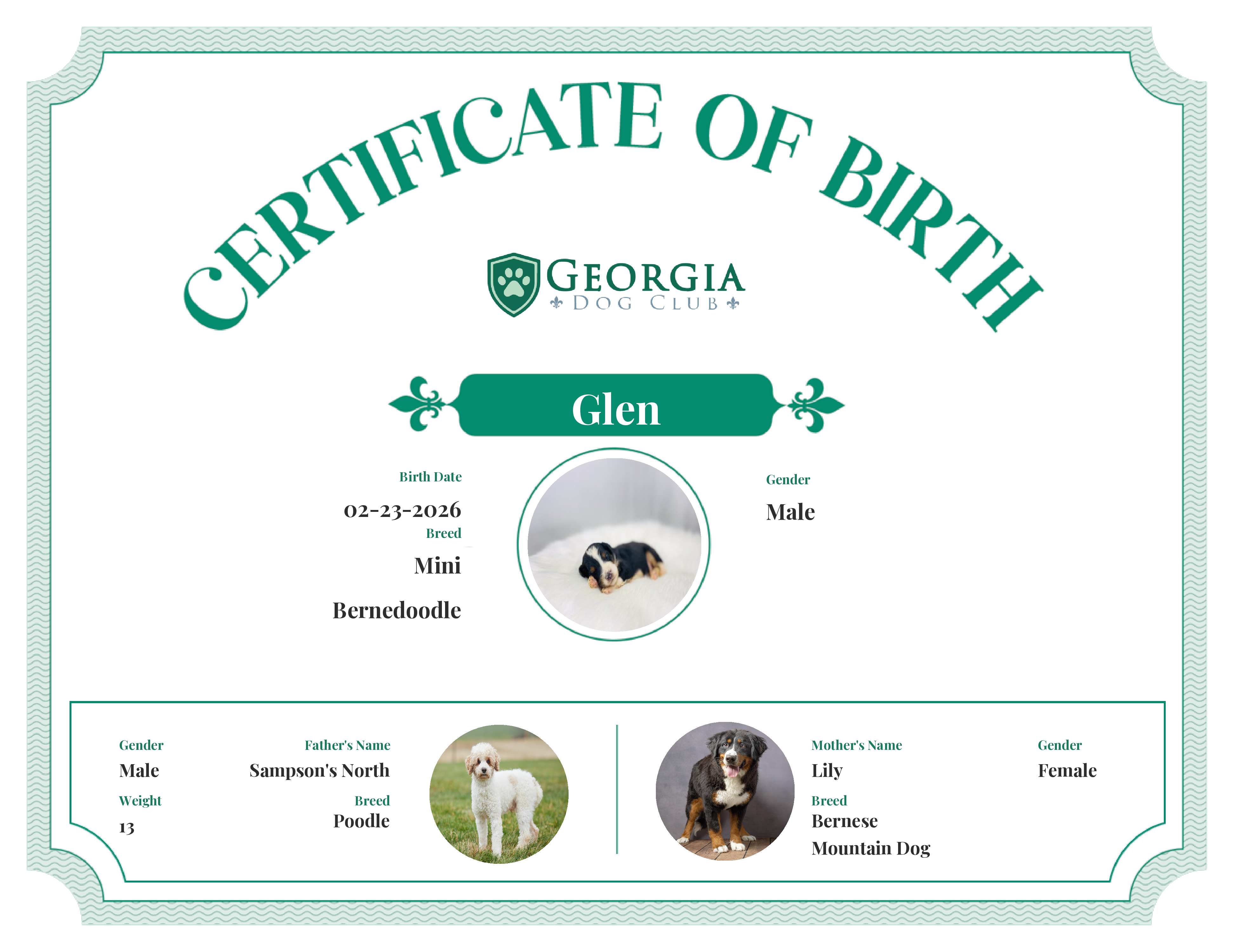 Glen's Birth Certificate