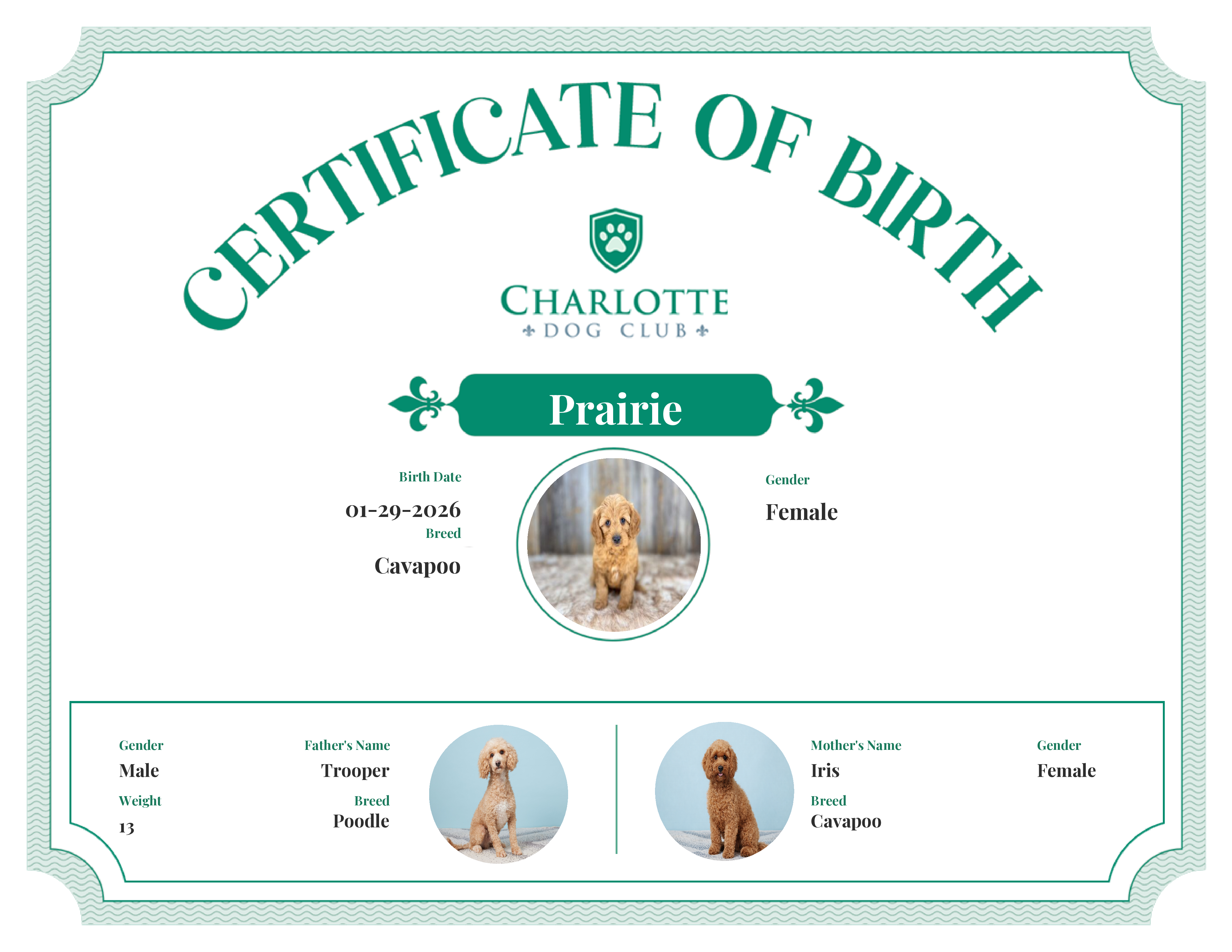 Prairie's Birth Certificate