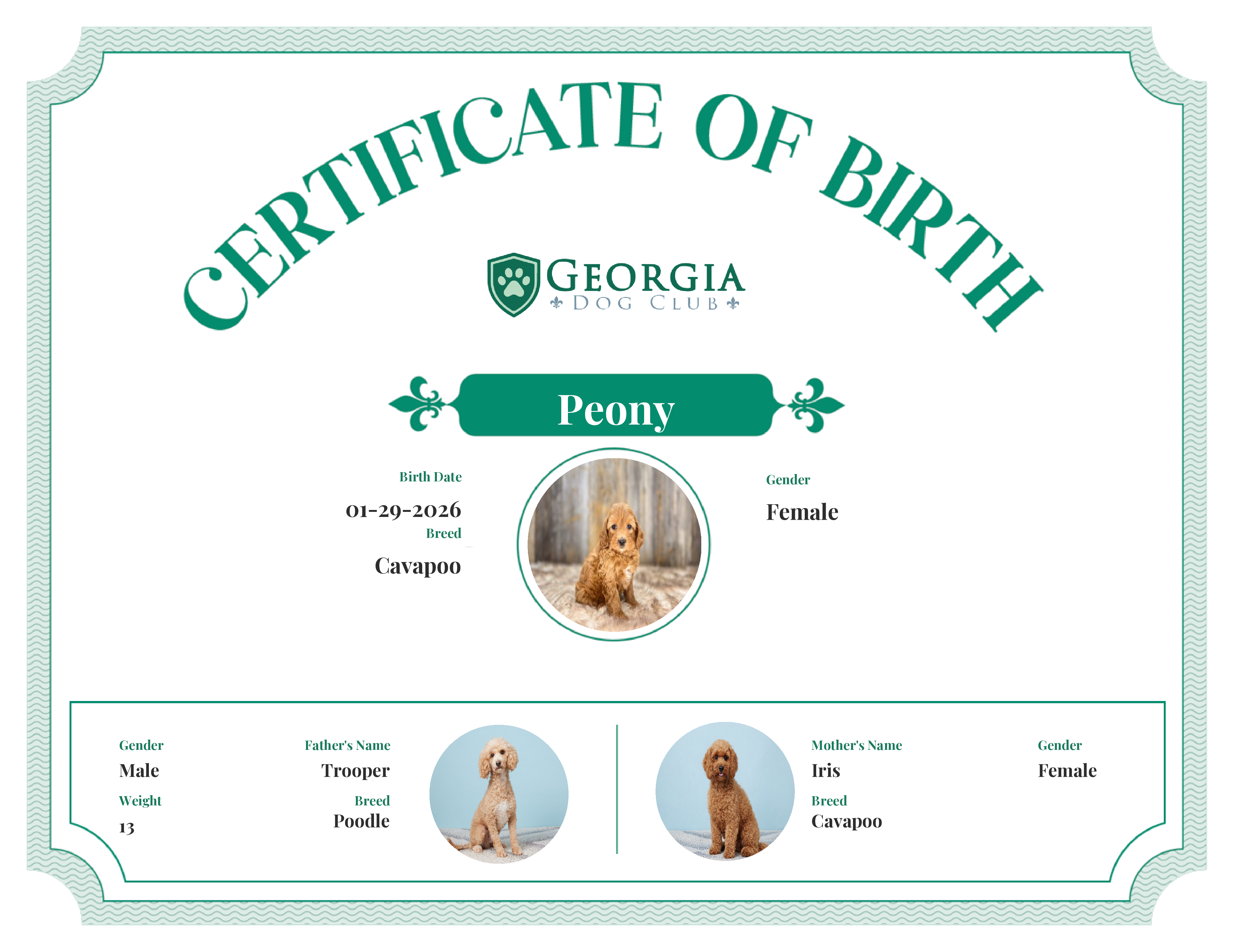 Peony's Birth Certificate
