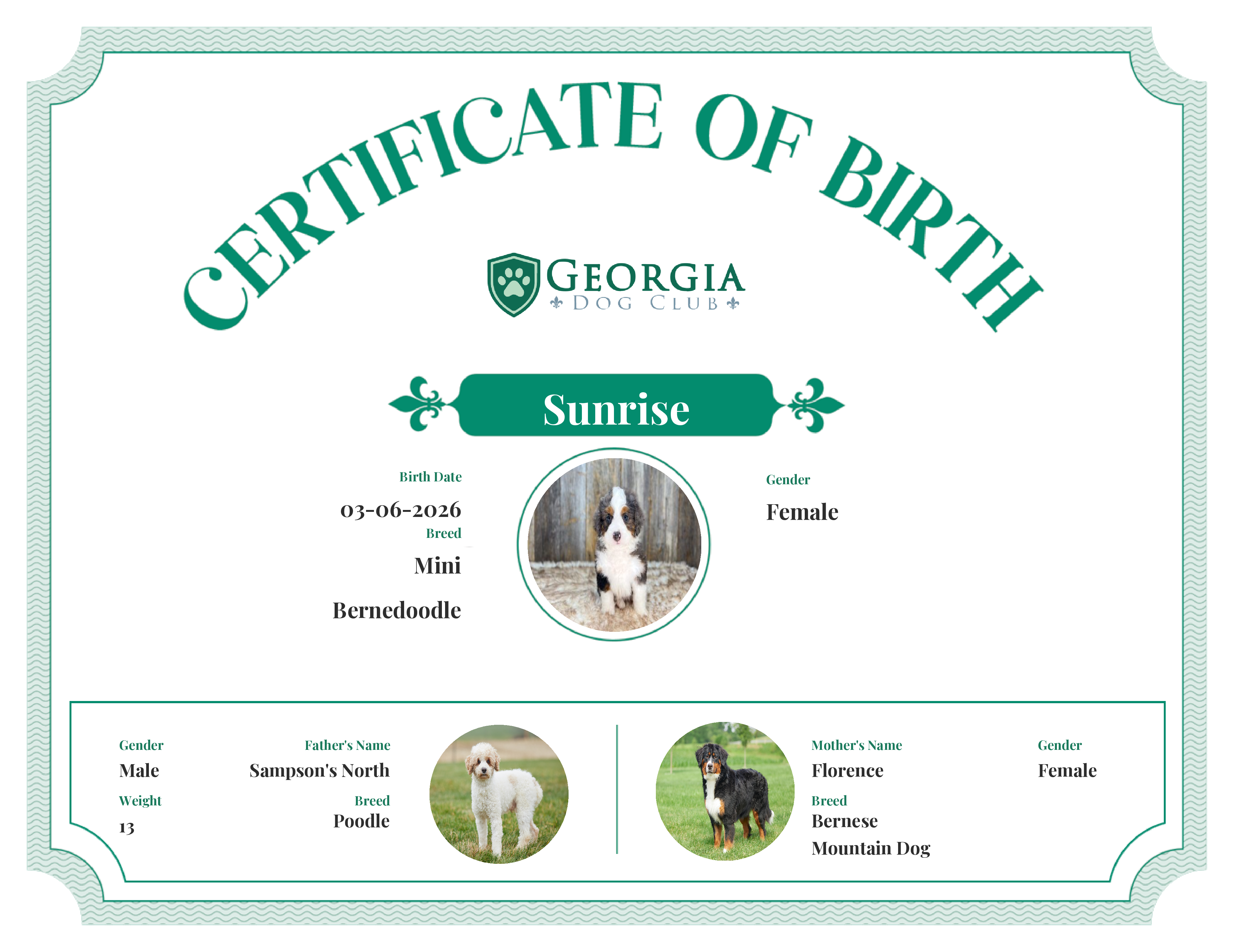 Sunrise's Birth Certificate