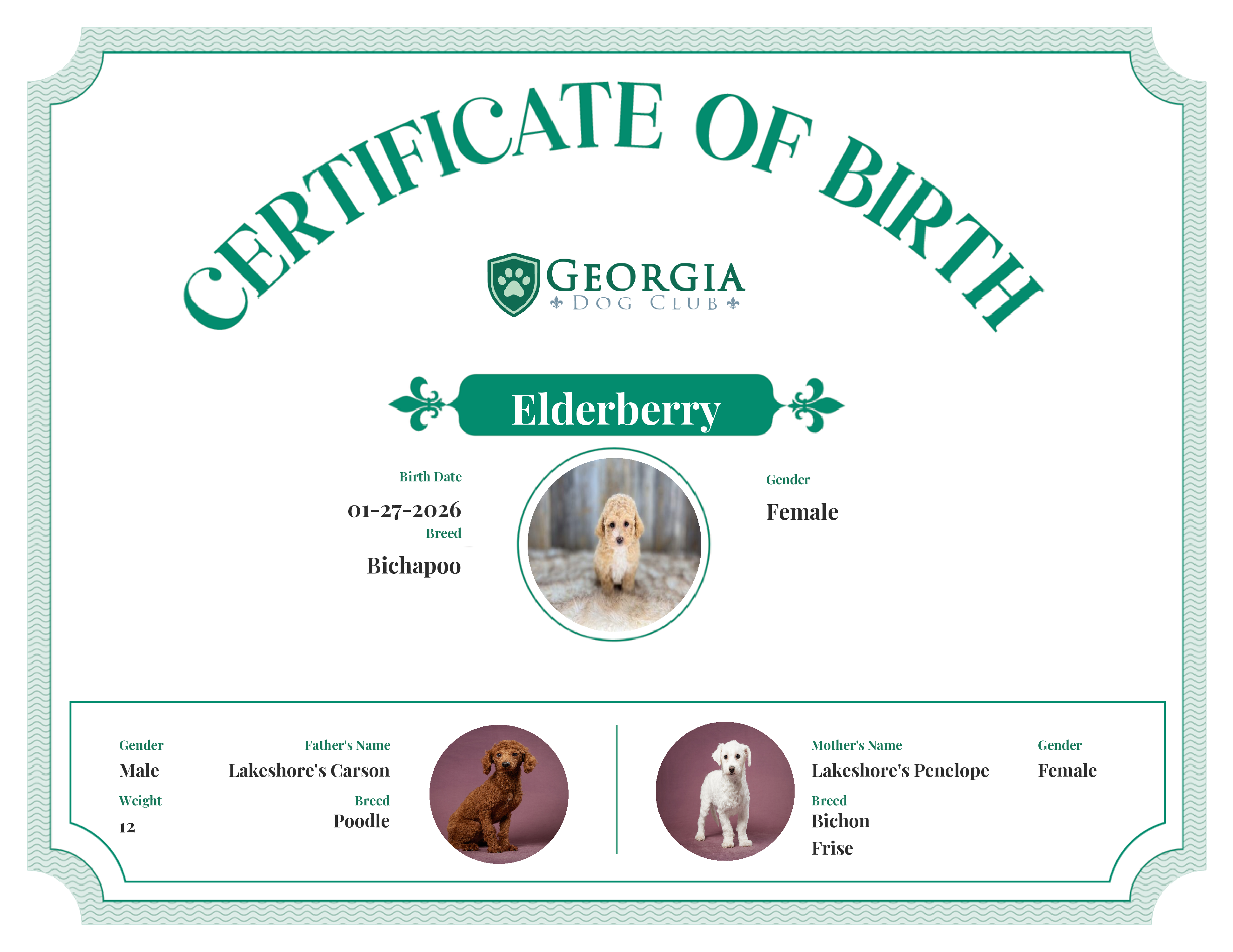 Elderberry's Birth Certificate