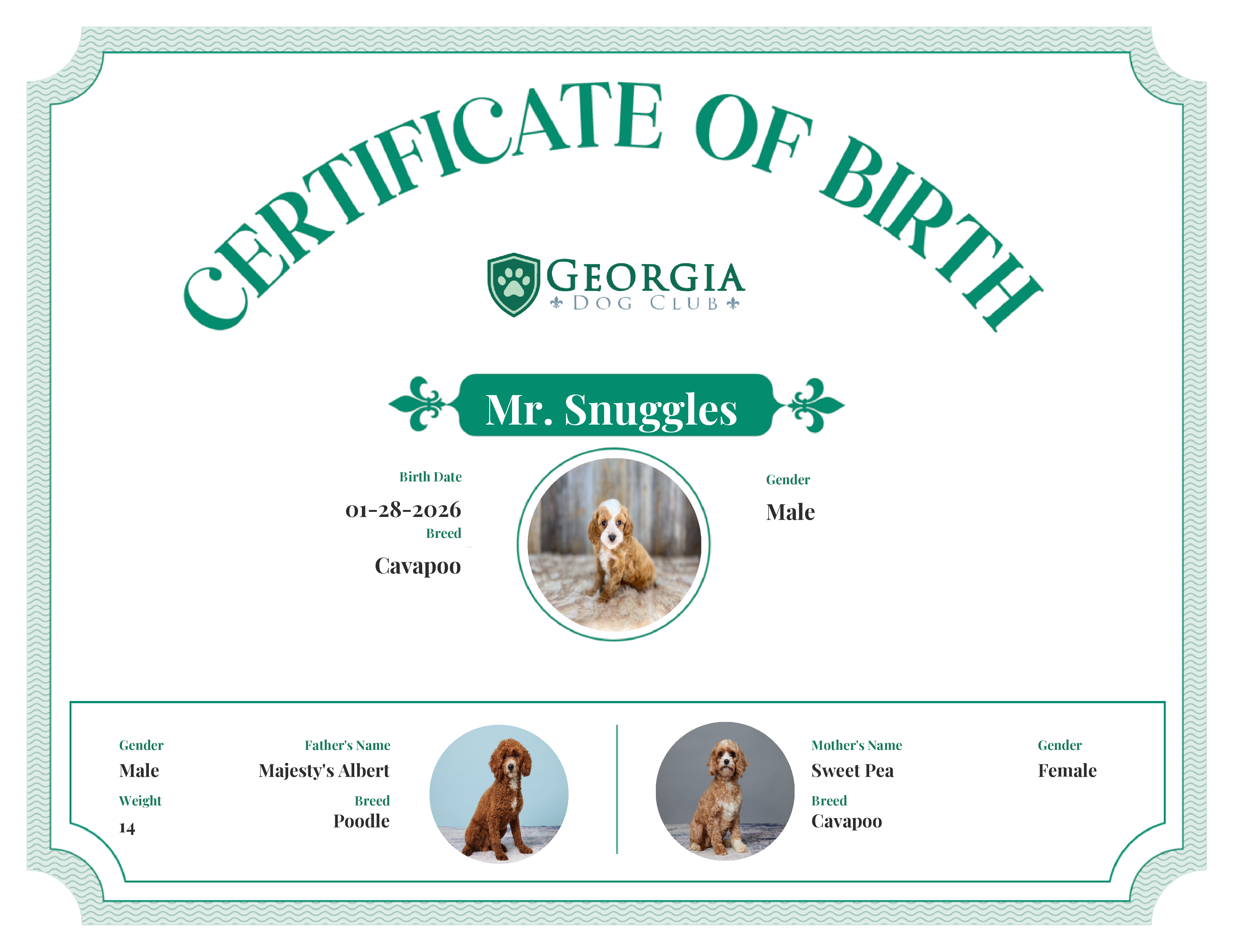 Mr. Snuggles 's Birth Certificate