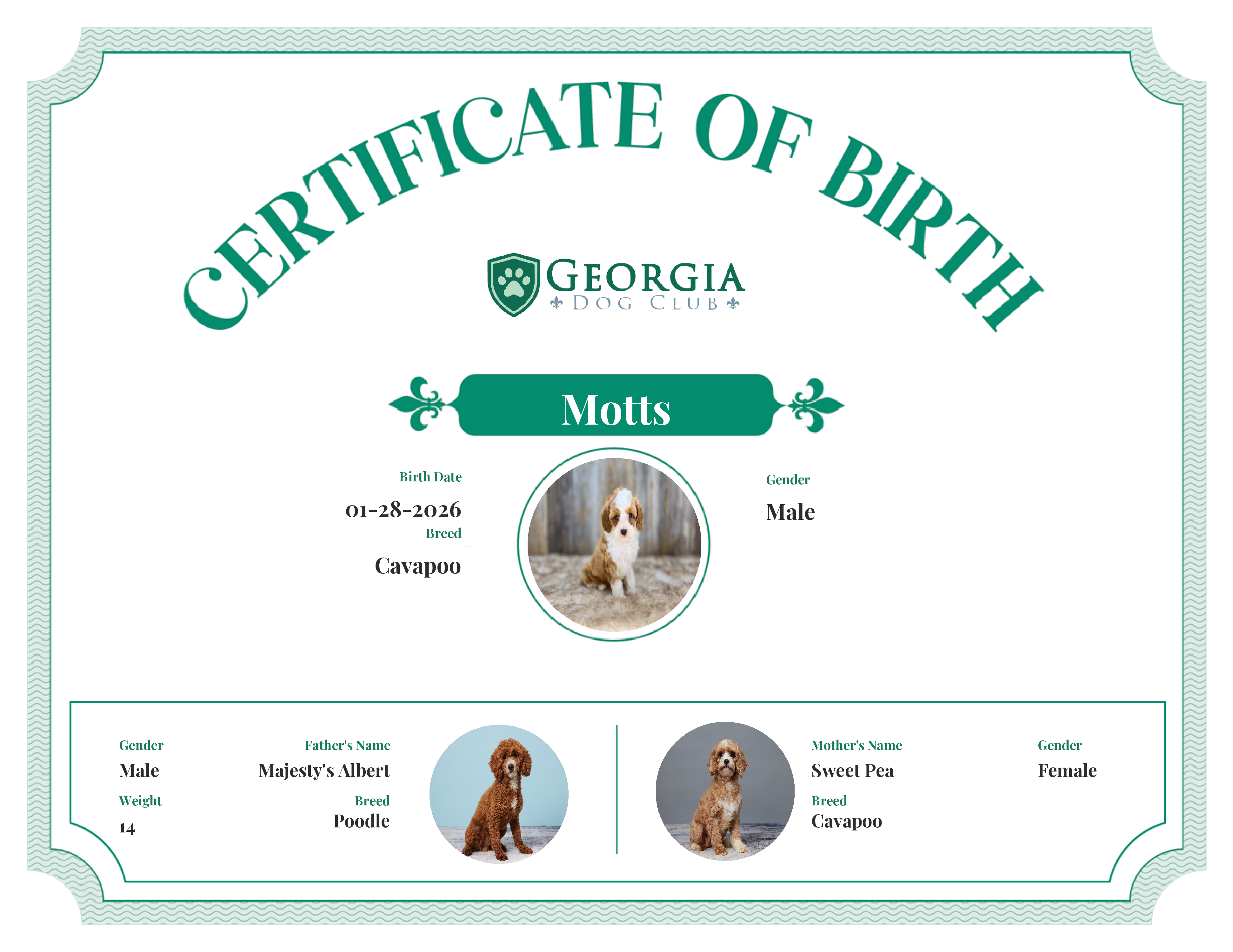Motts's Birth Certificate