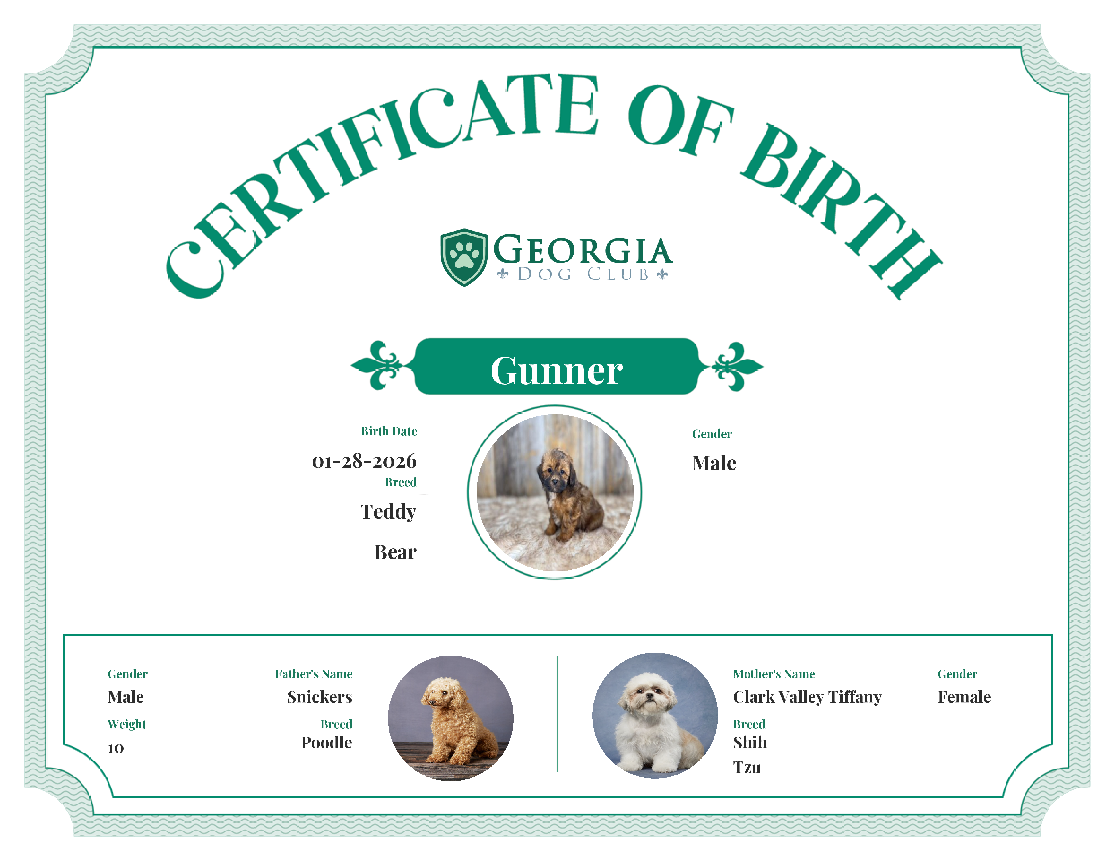 Gunner's Birth Certificate