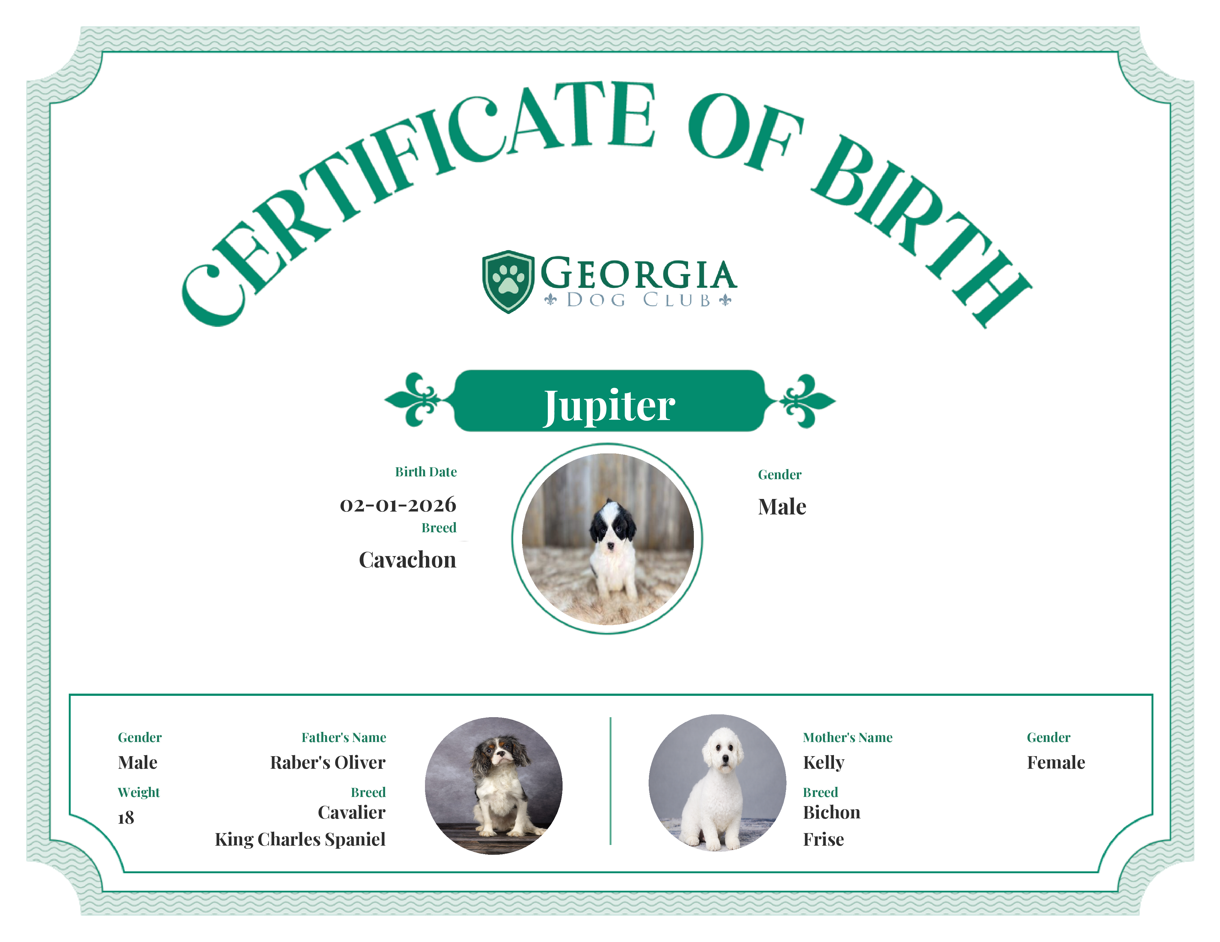 Jupiter's Birth Certificate