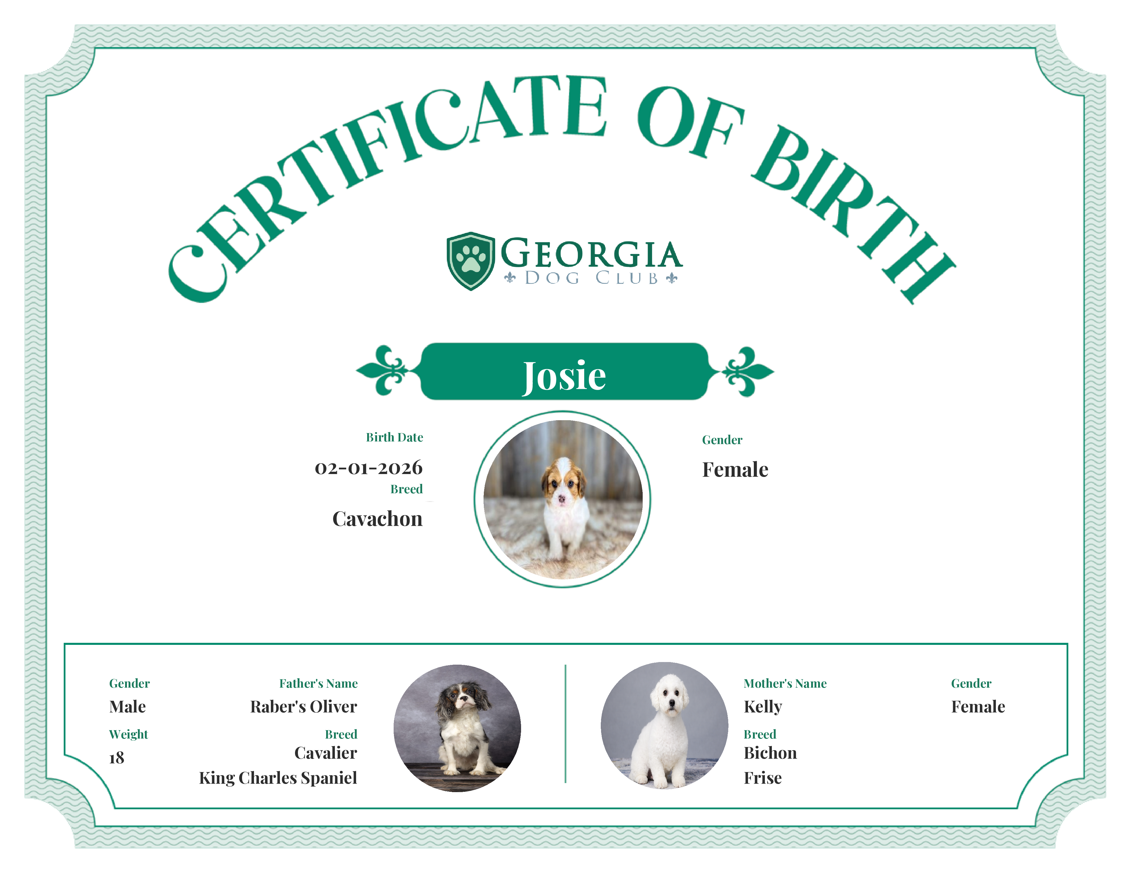 Josie's Birth Certificate