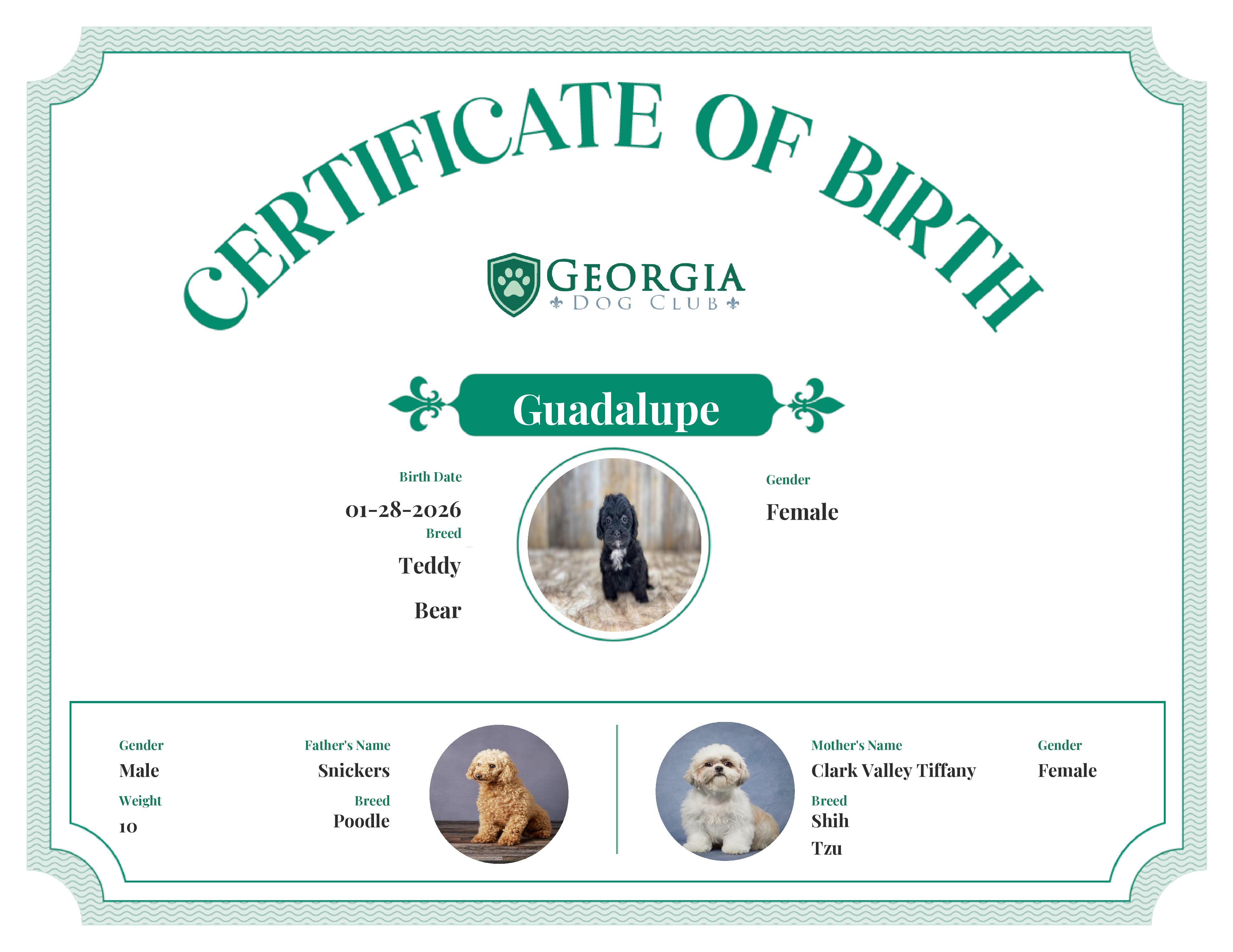Guadalupe's Birth Certificate
