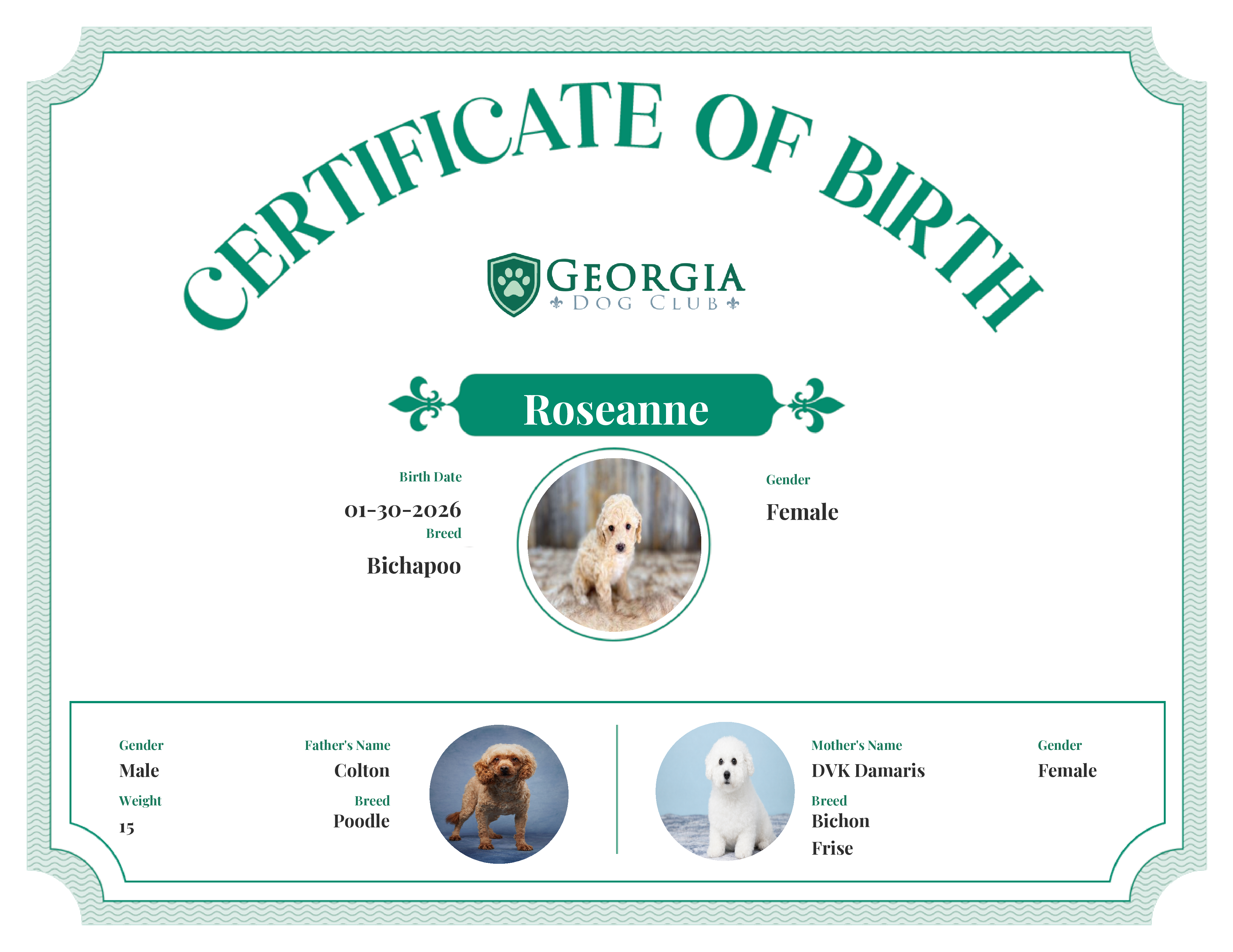 Roseanne's Birth Certificate