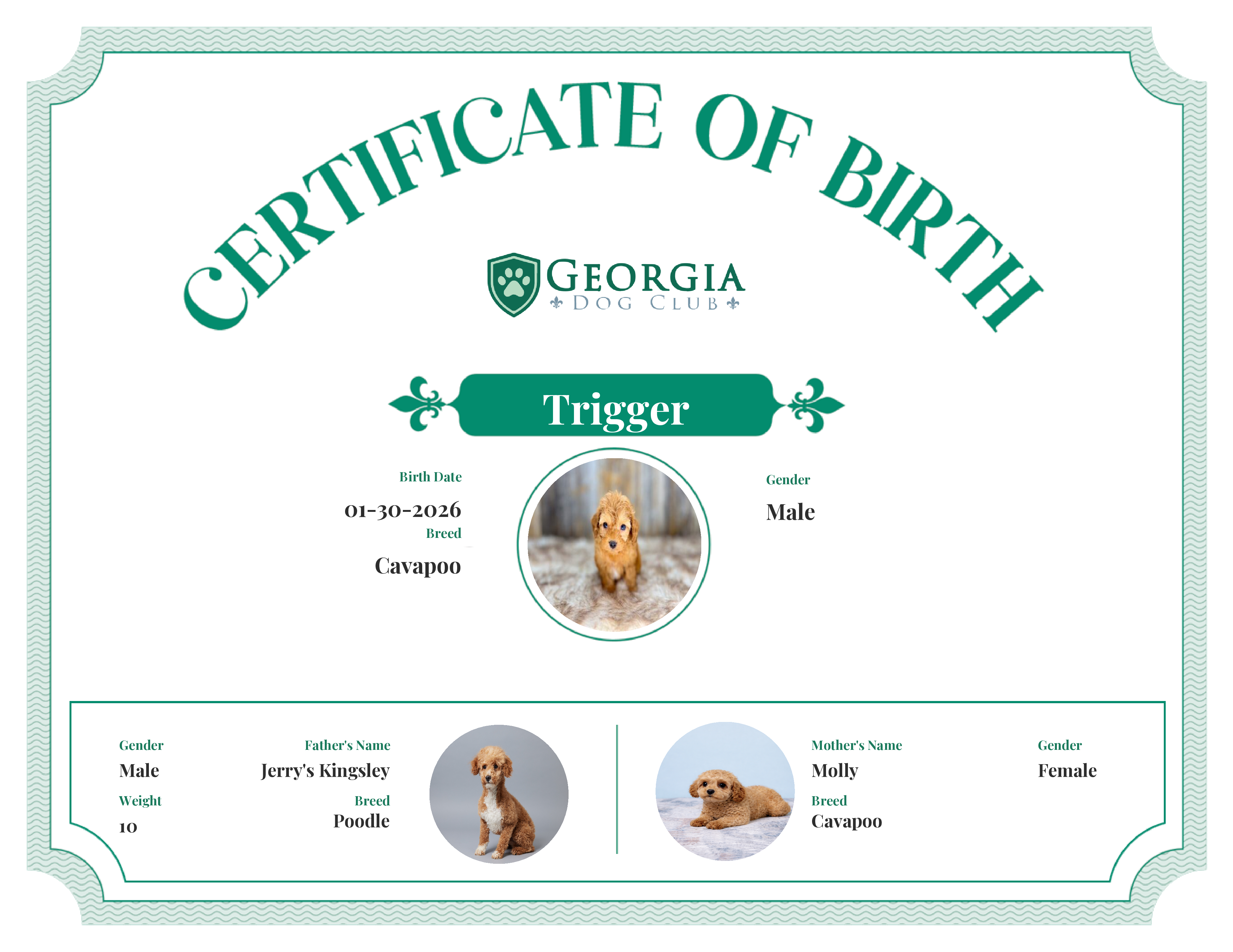 Trigger's Birth Certificate