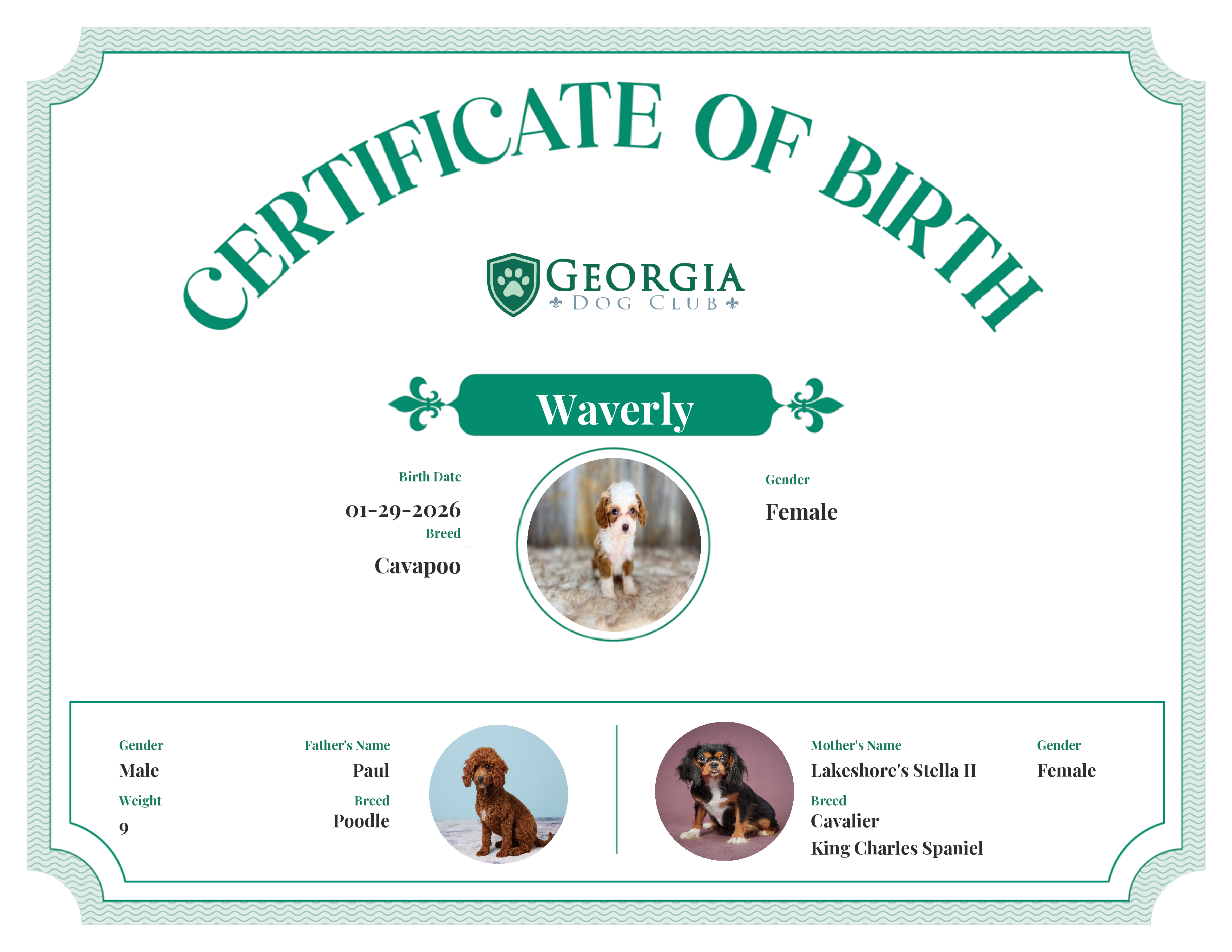 Waverly's Birth Certificate