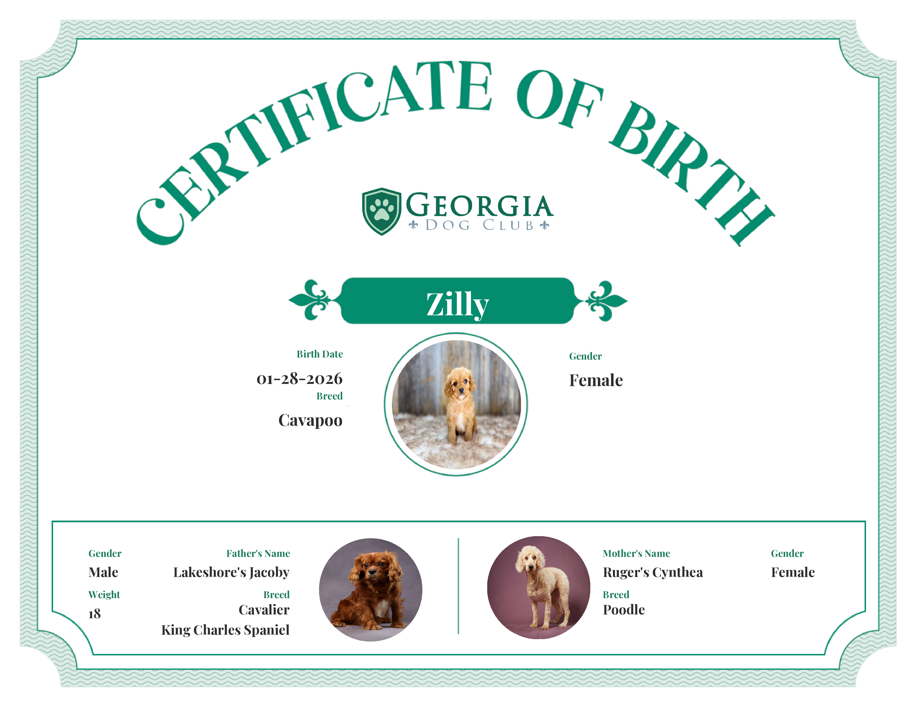 Zilly's Birth Certificate