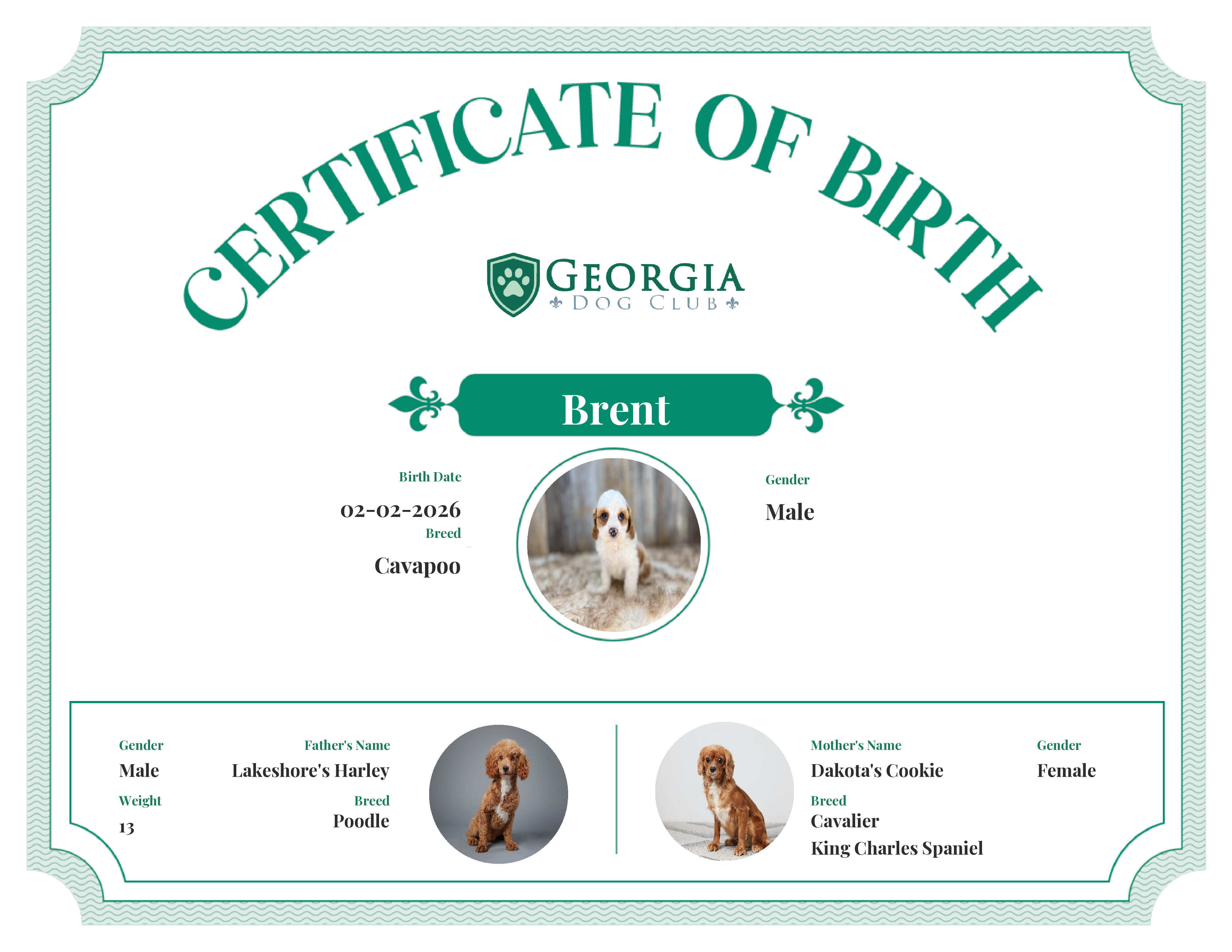 Brent's Birth Certificate