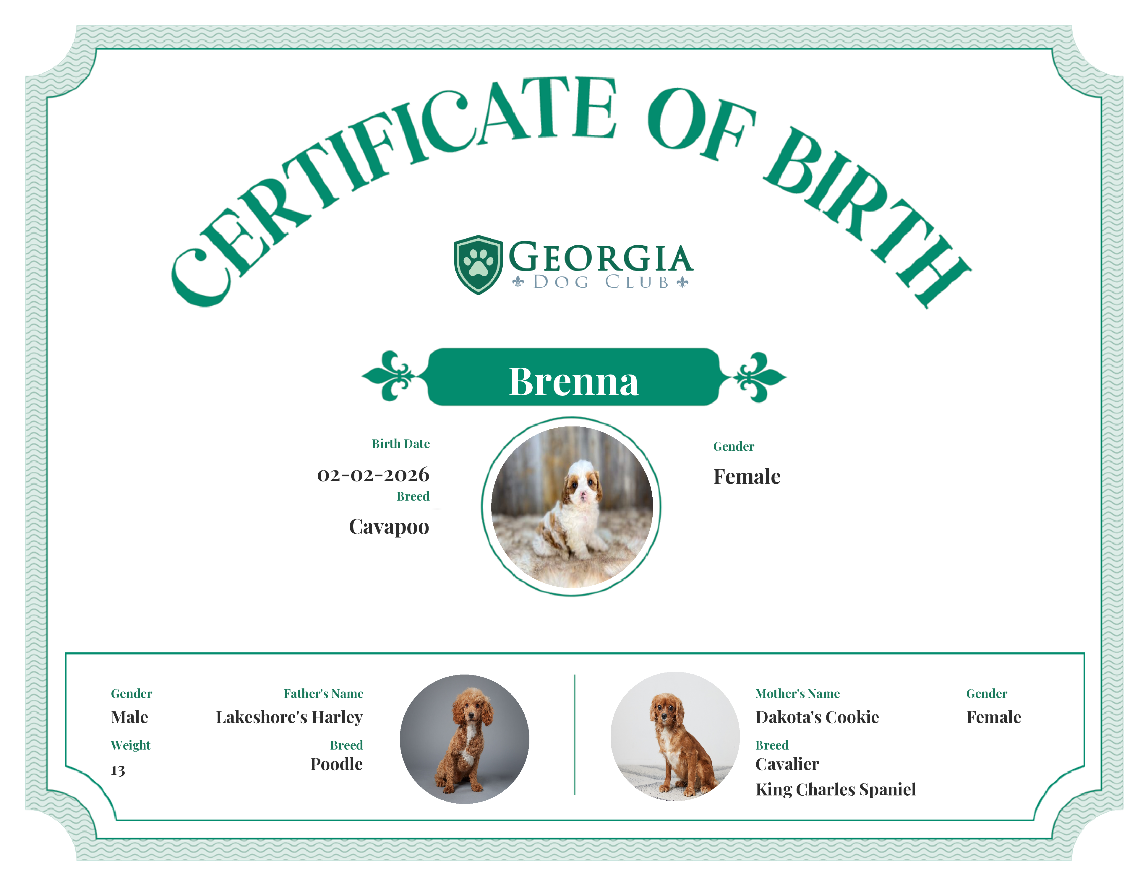 Brenna's Birth Certificate