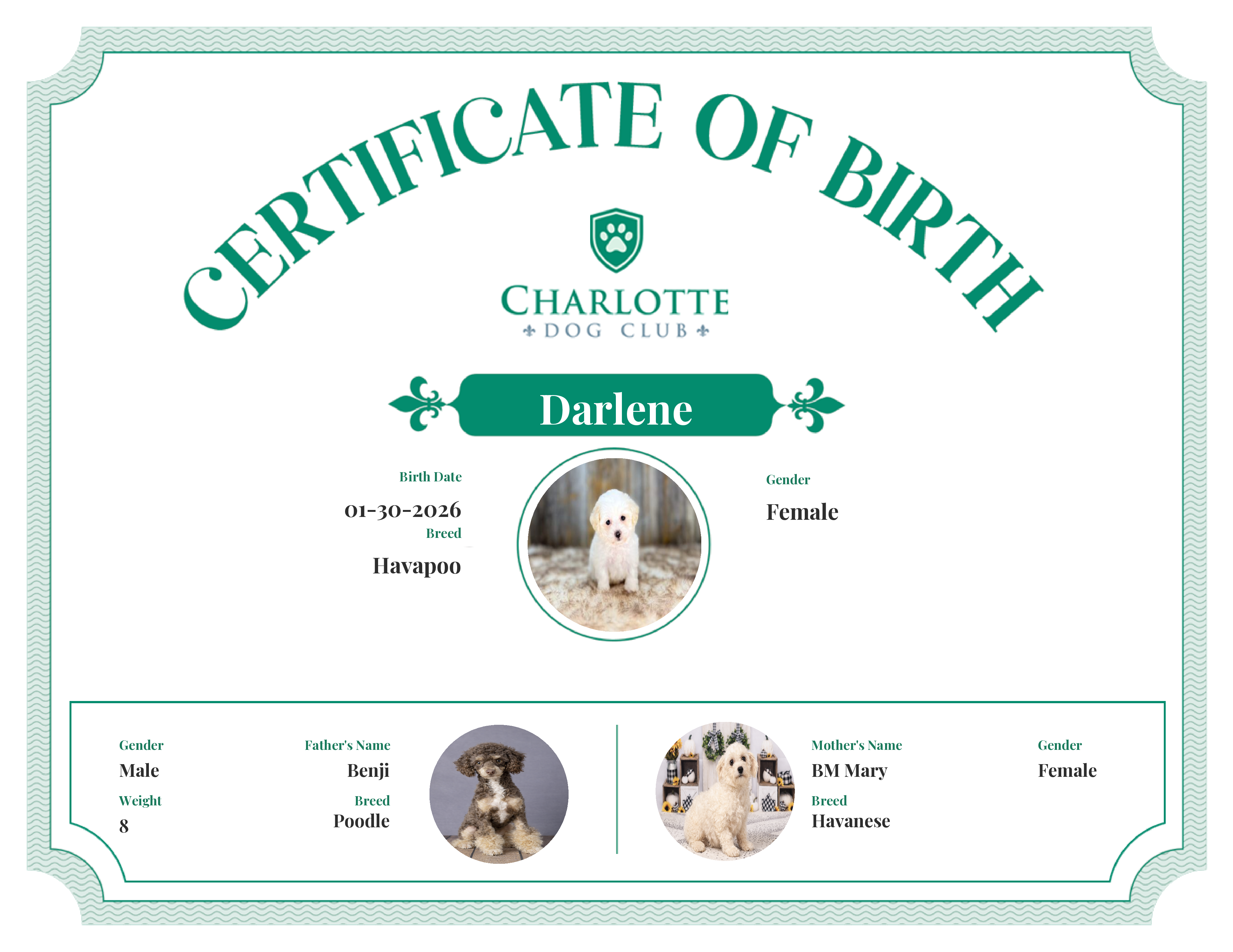 Darlene's Birth Certificate