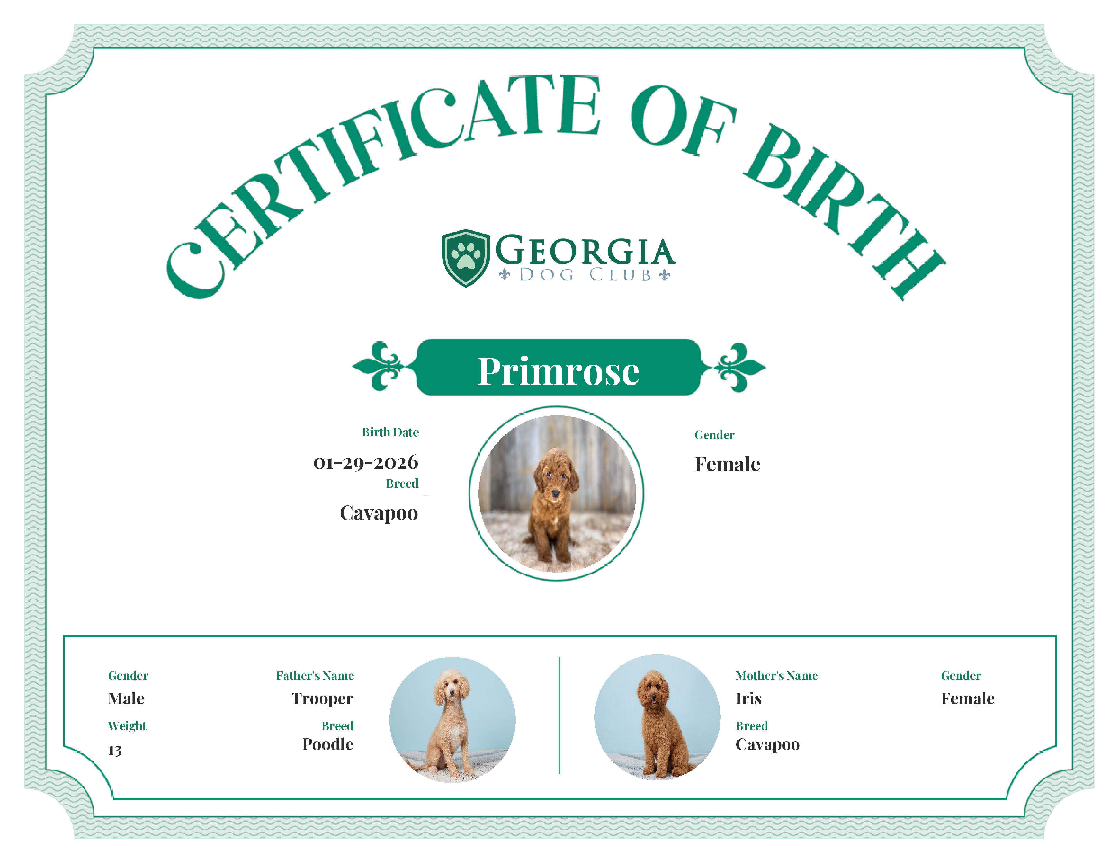 Primrose's Birth Certificate