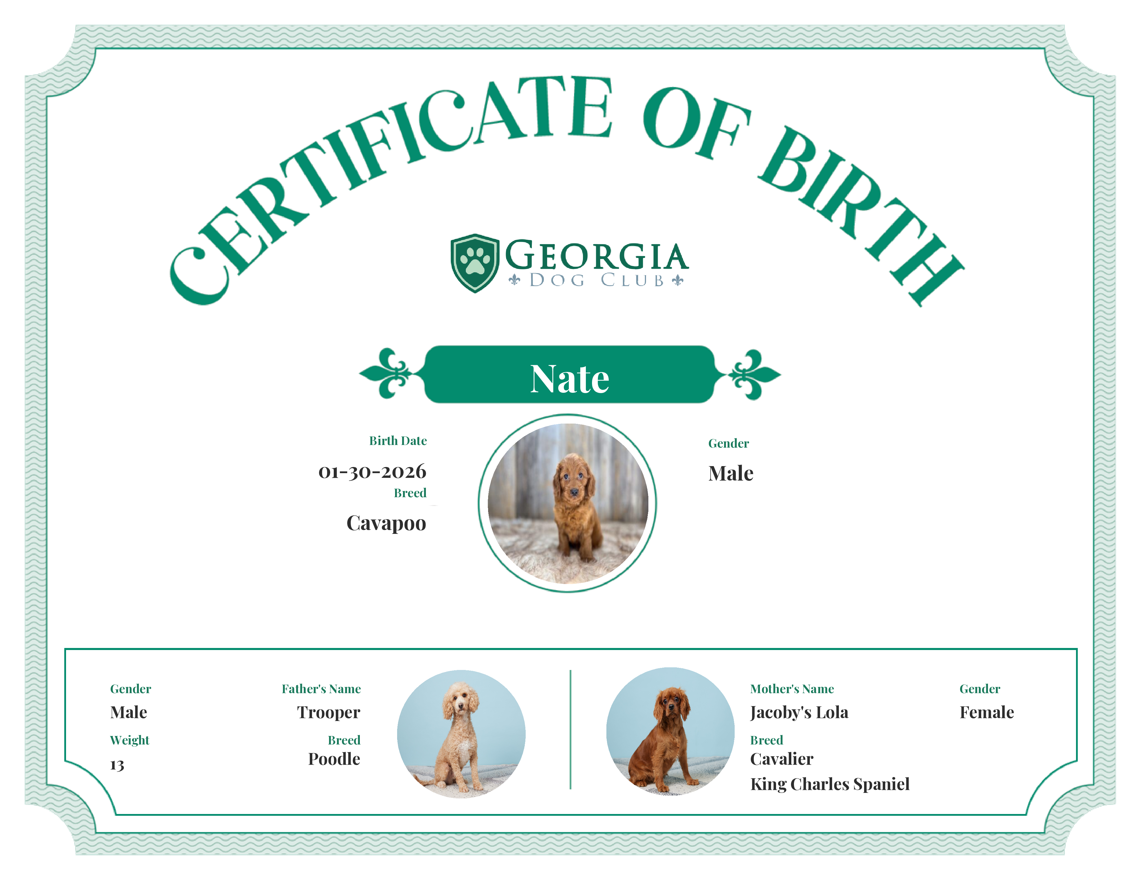 Nate's Birth Certificate