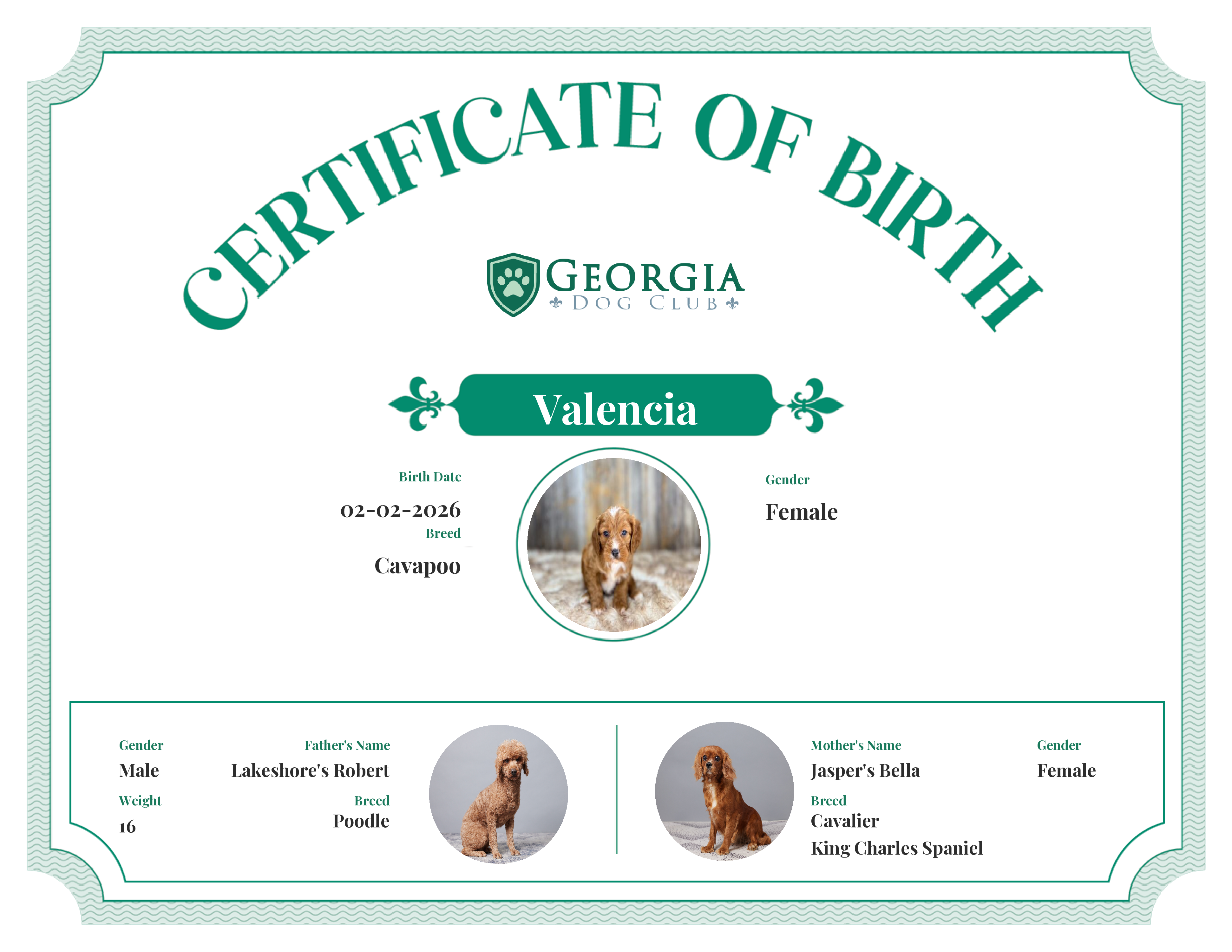 Valencia's Birth Certificate
