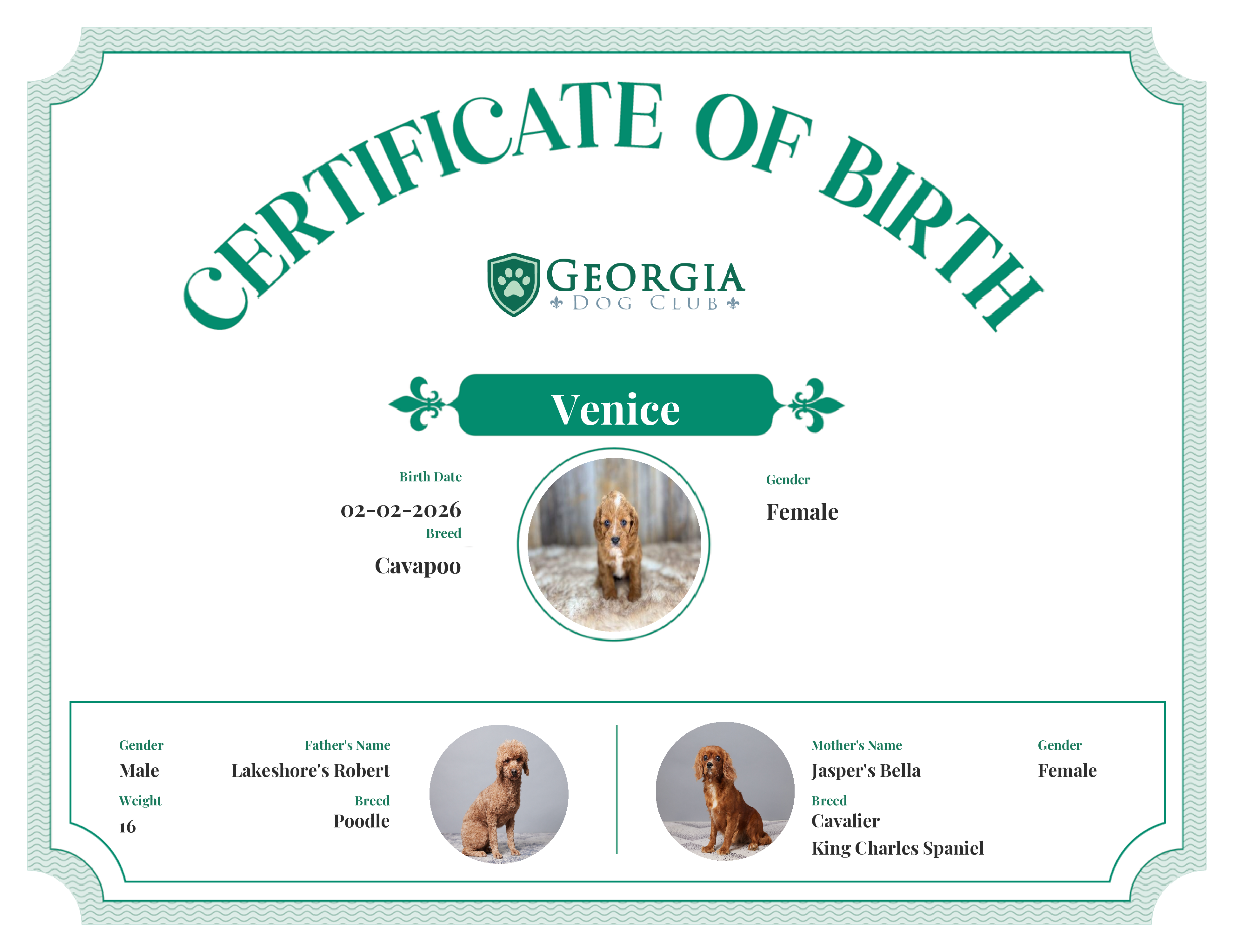 Venice's Birth Certificate