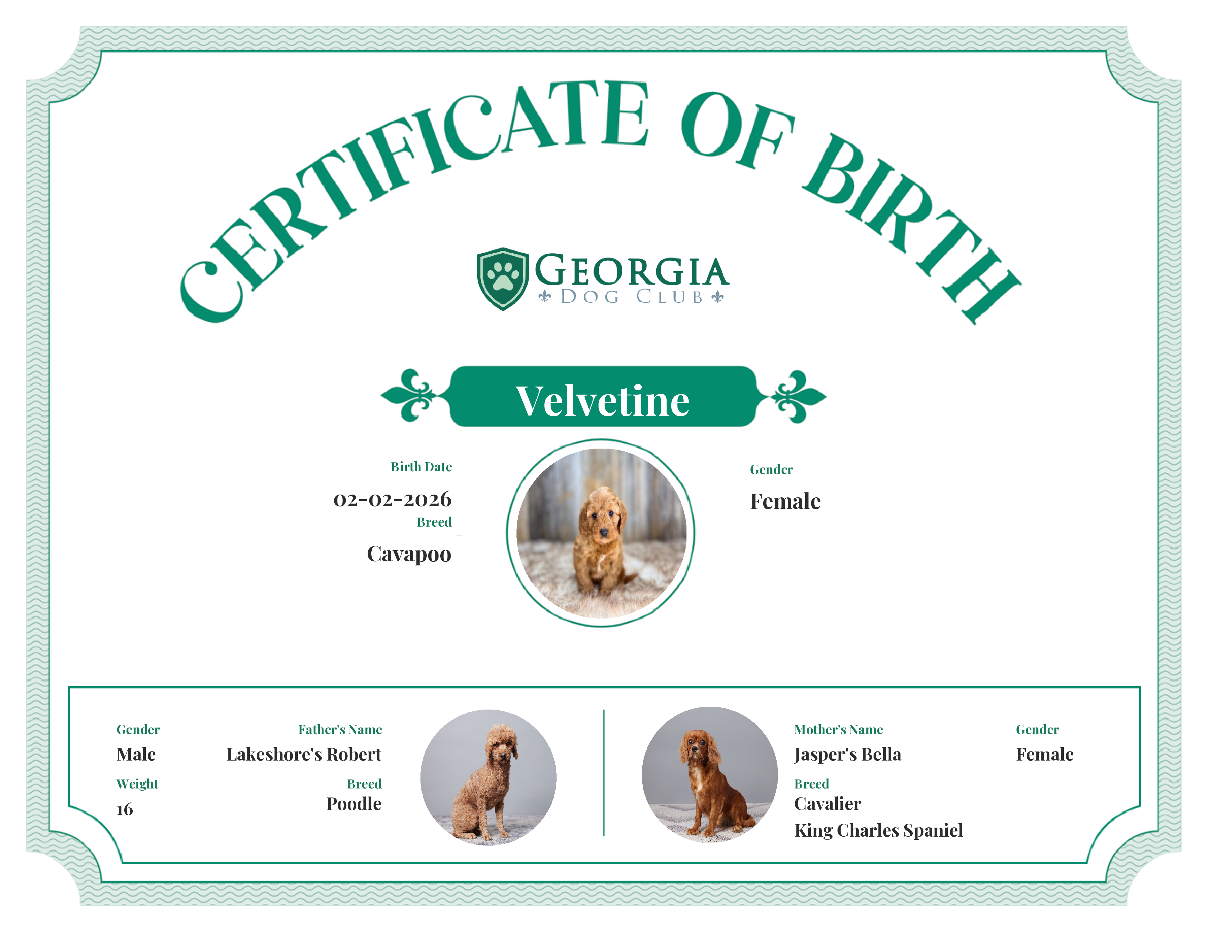Velvetine's Birth Certificate