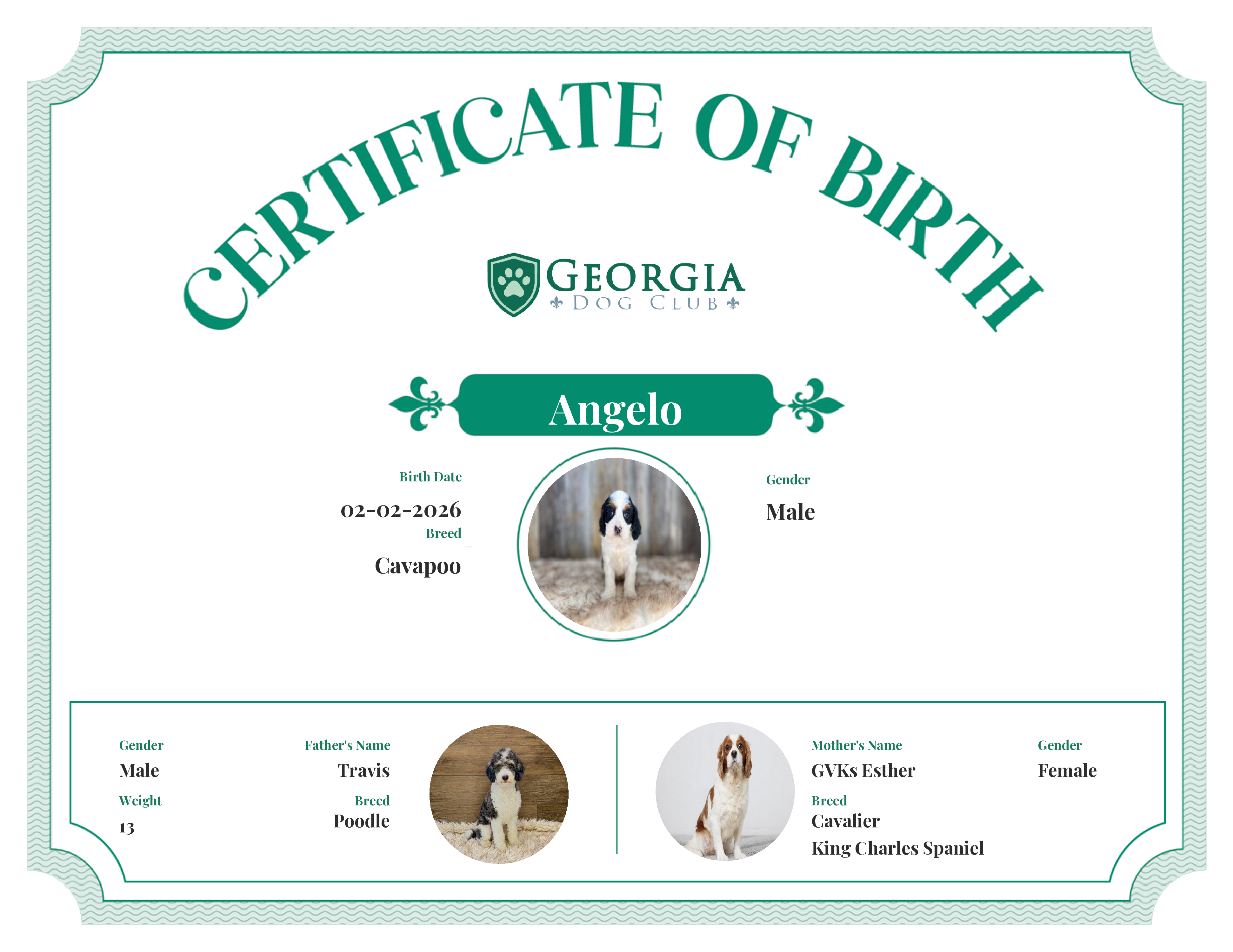 Angelo's Birth Certificate