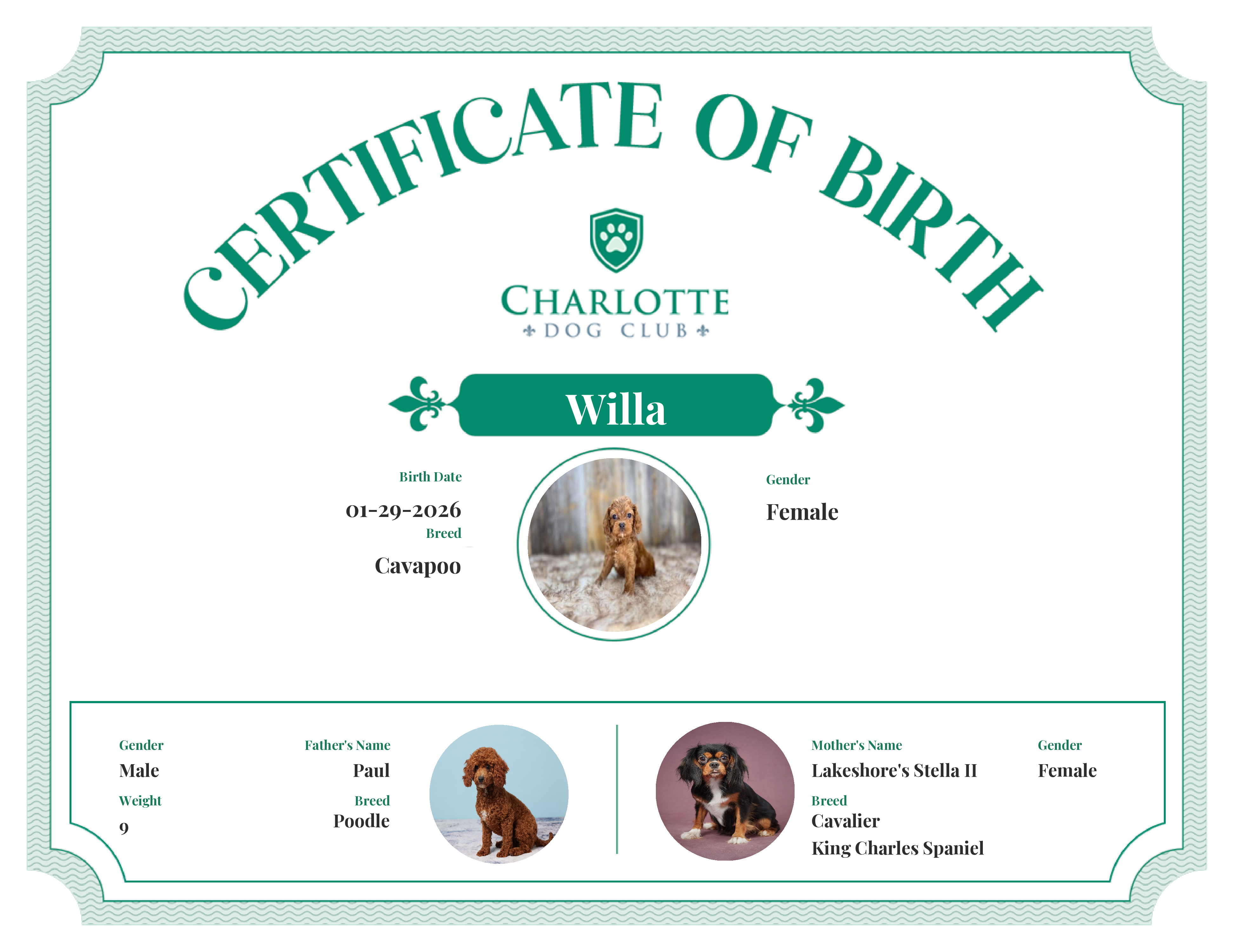 Willa's Birth Certificate