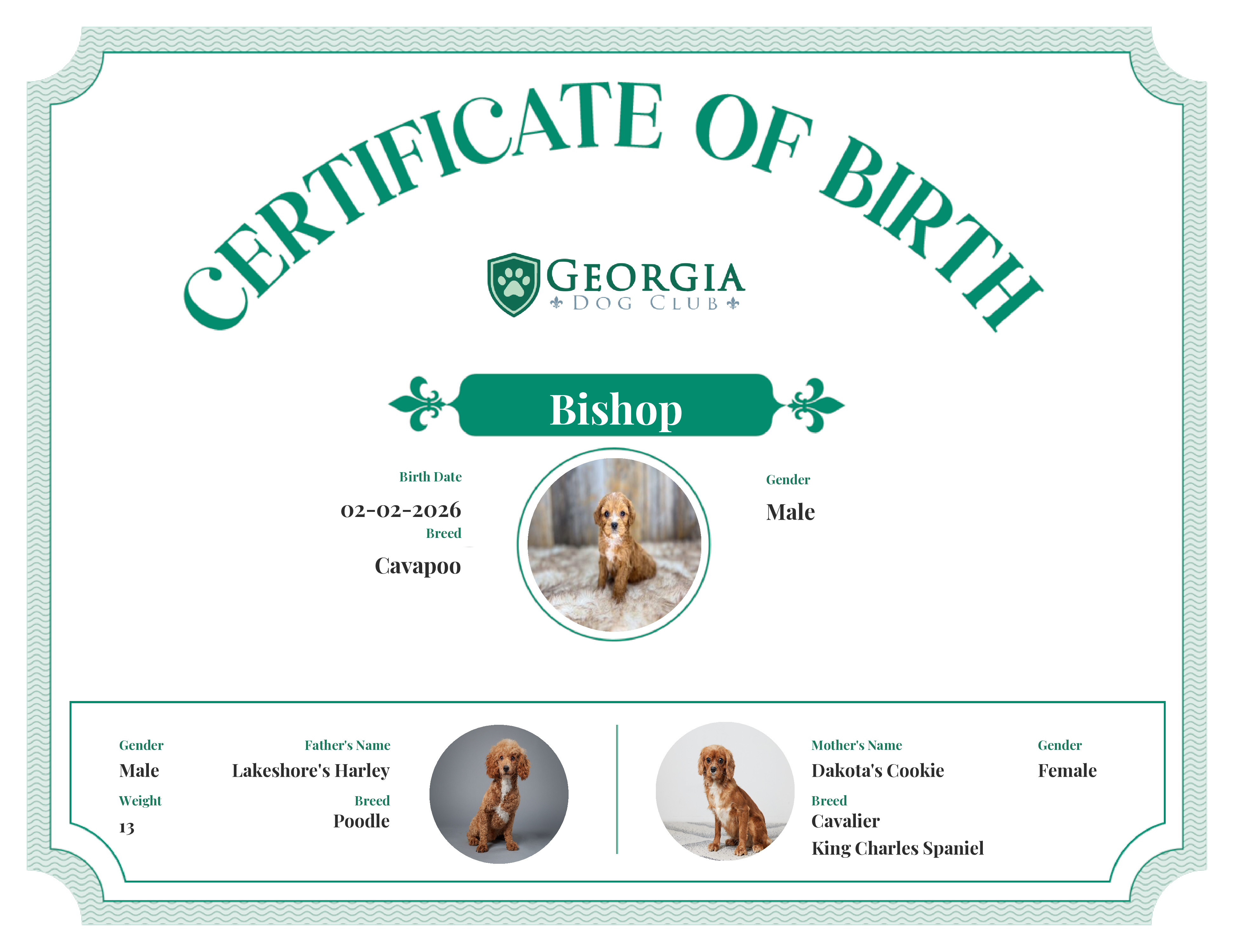 Bishop's Birth Certificate