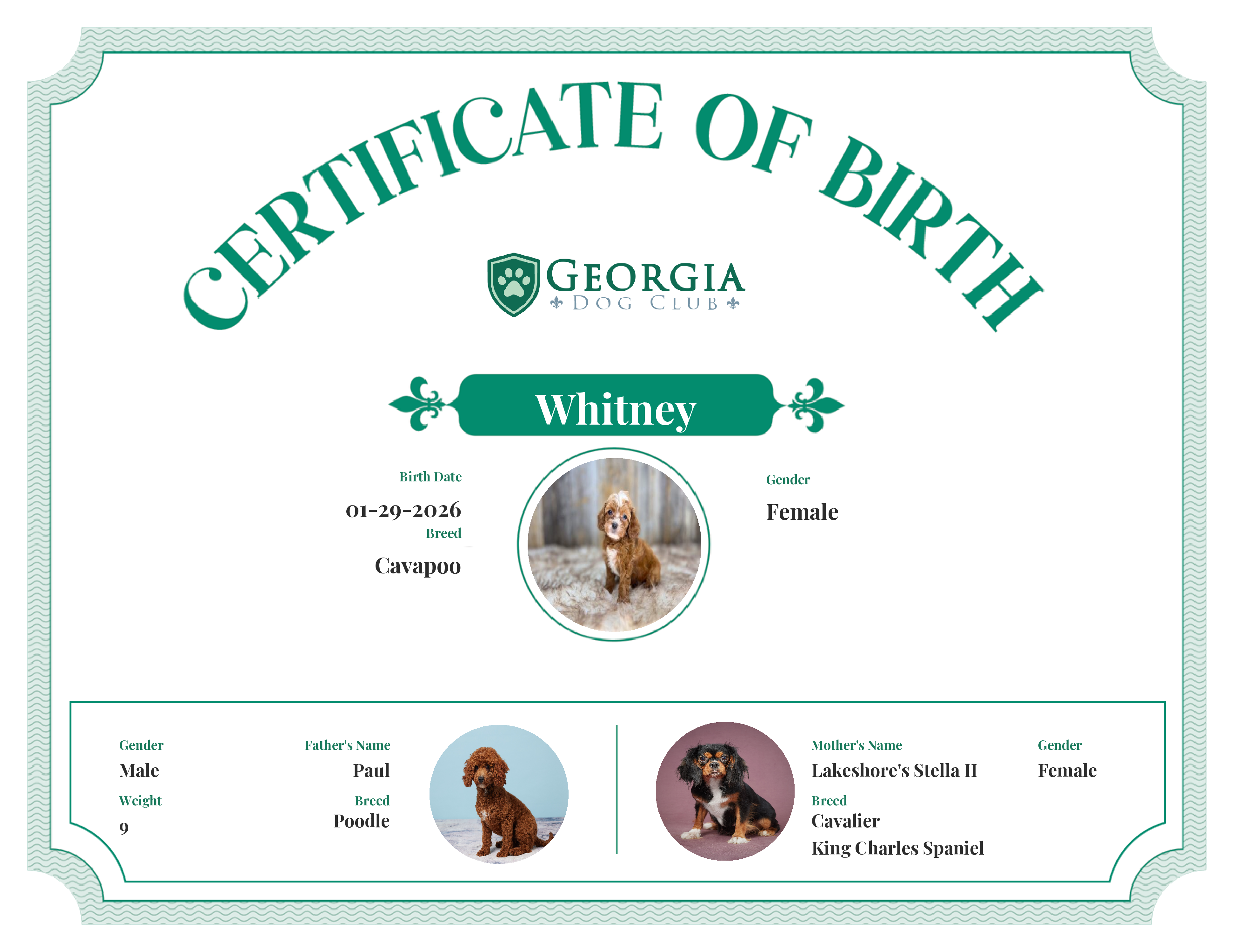 Whitney's Birth Certificate