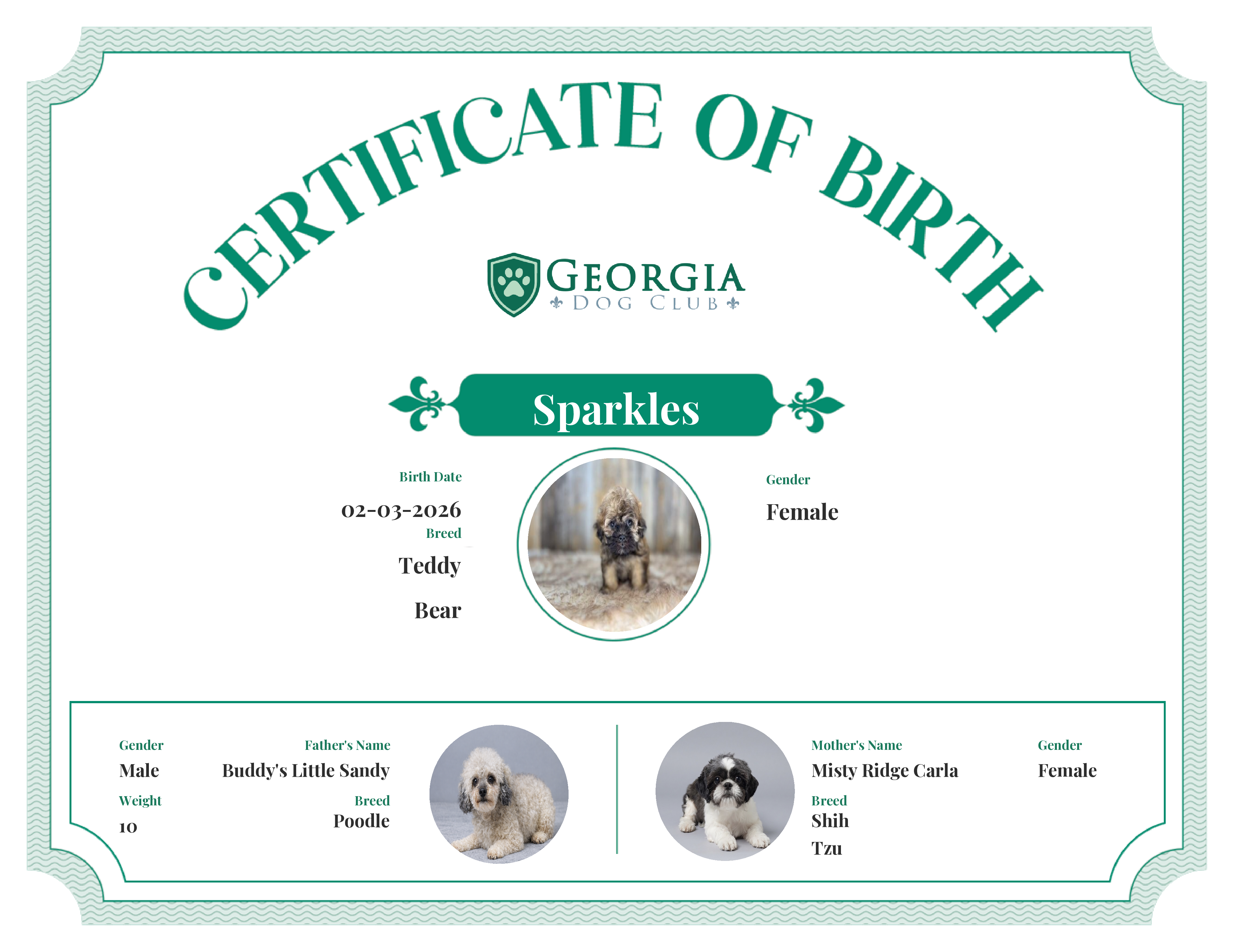 Sparkles's Birth Certificate