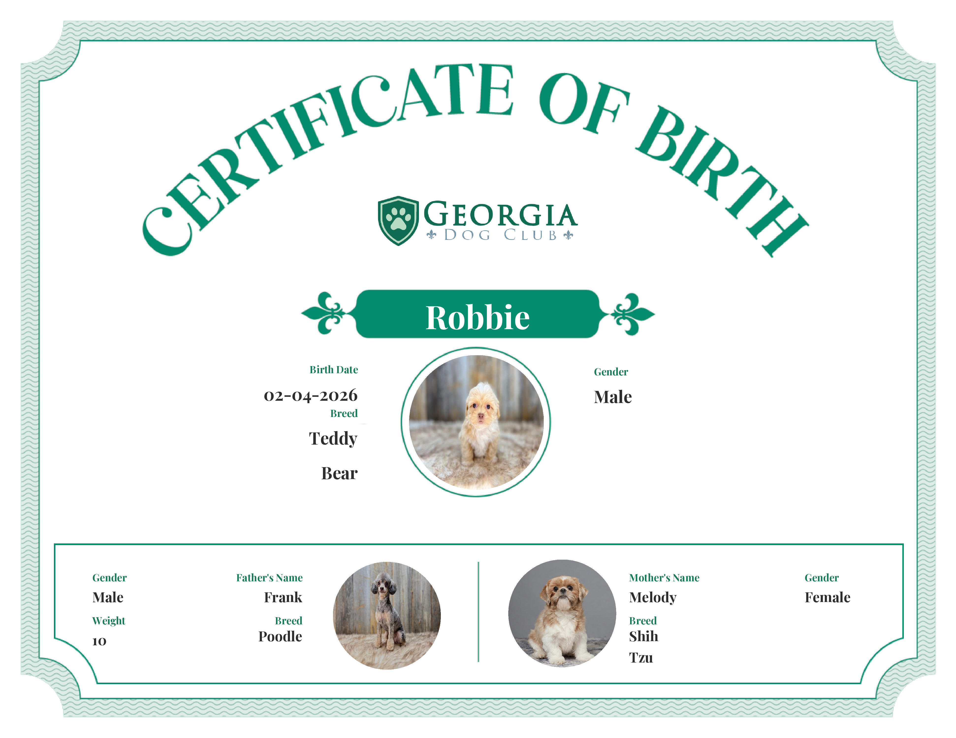 Robbie's Birth Certificate