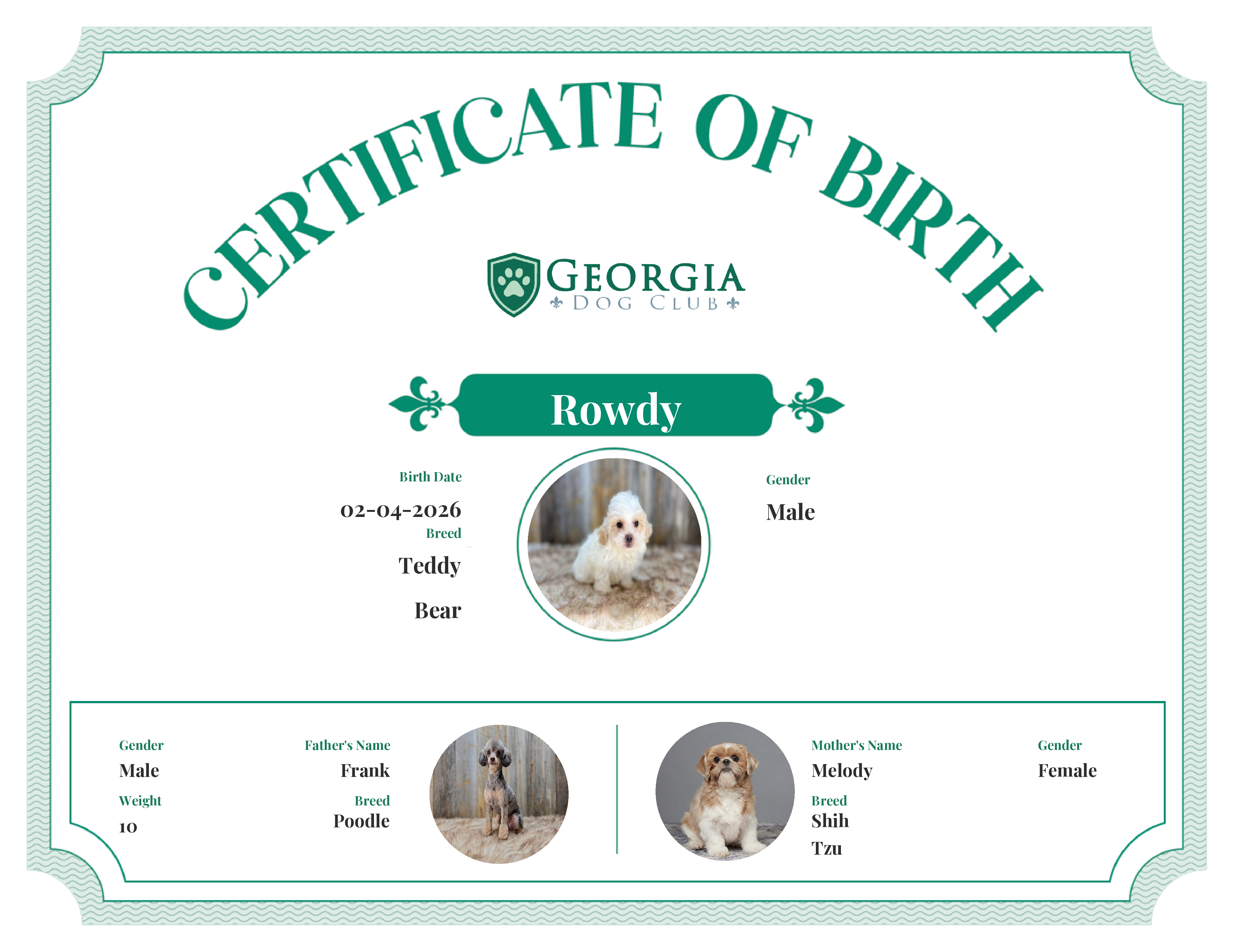 Rowdy's Birth Certificate