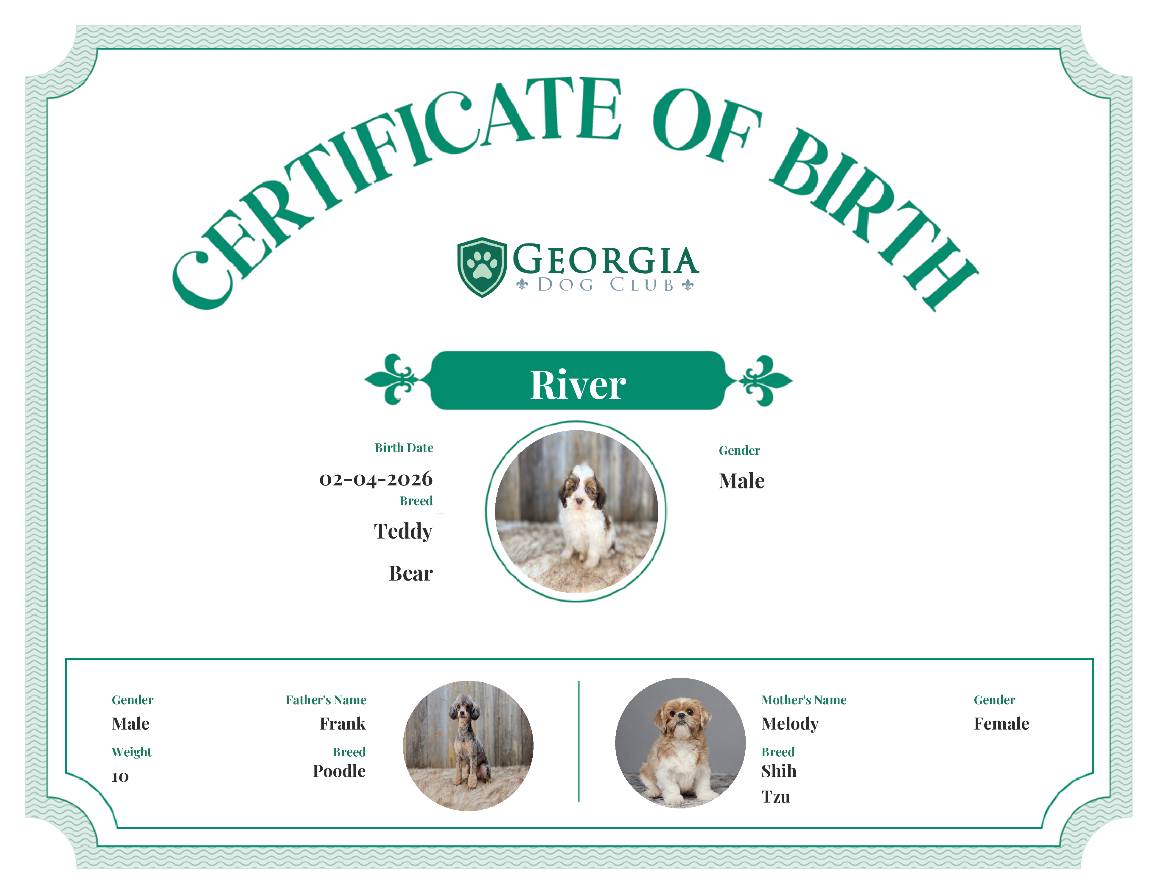 River's Birth Certificate
