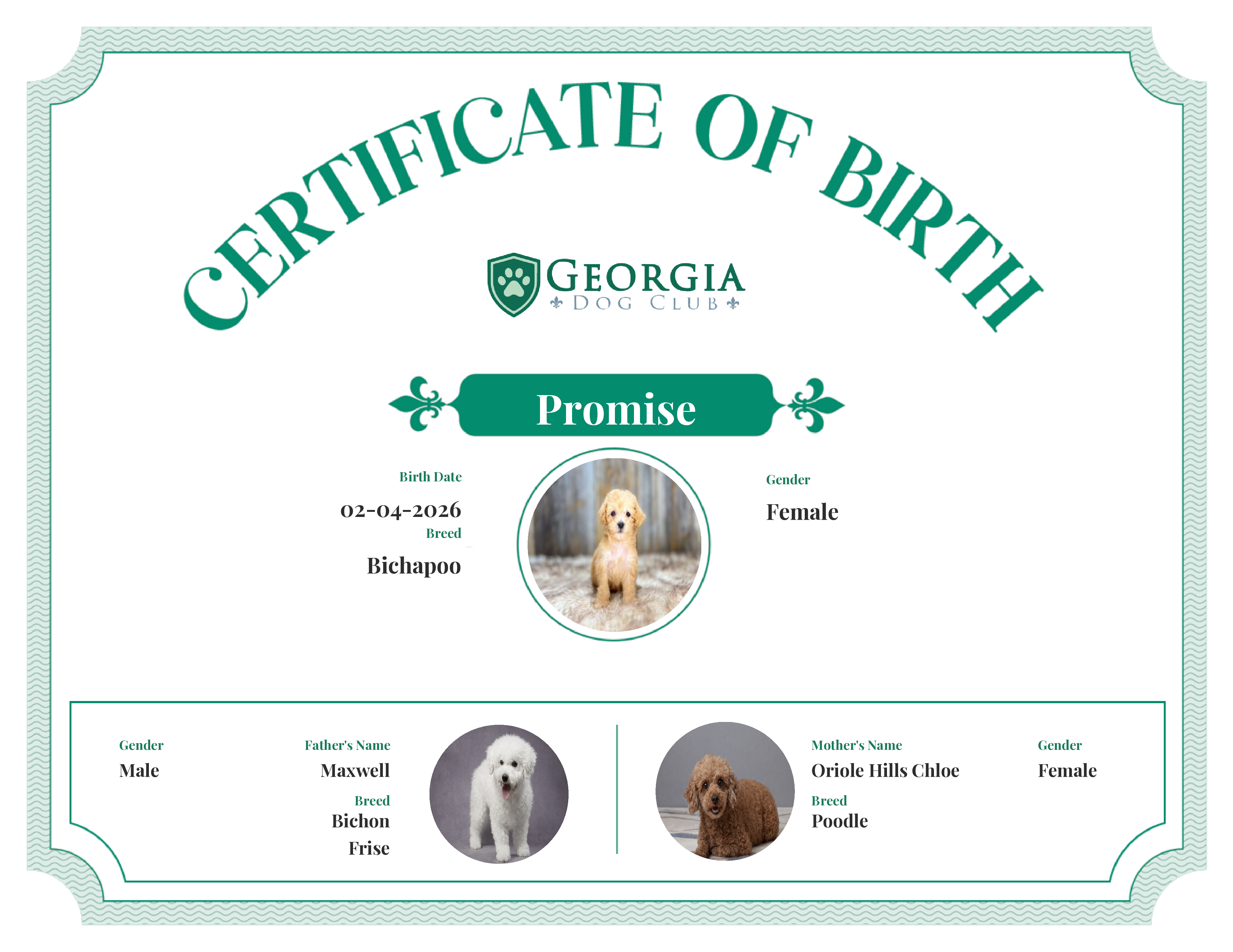 Promise's Birth Certificate