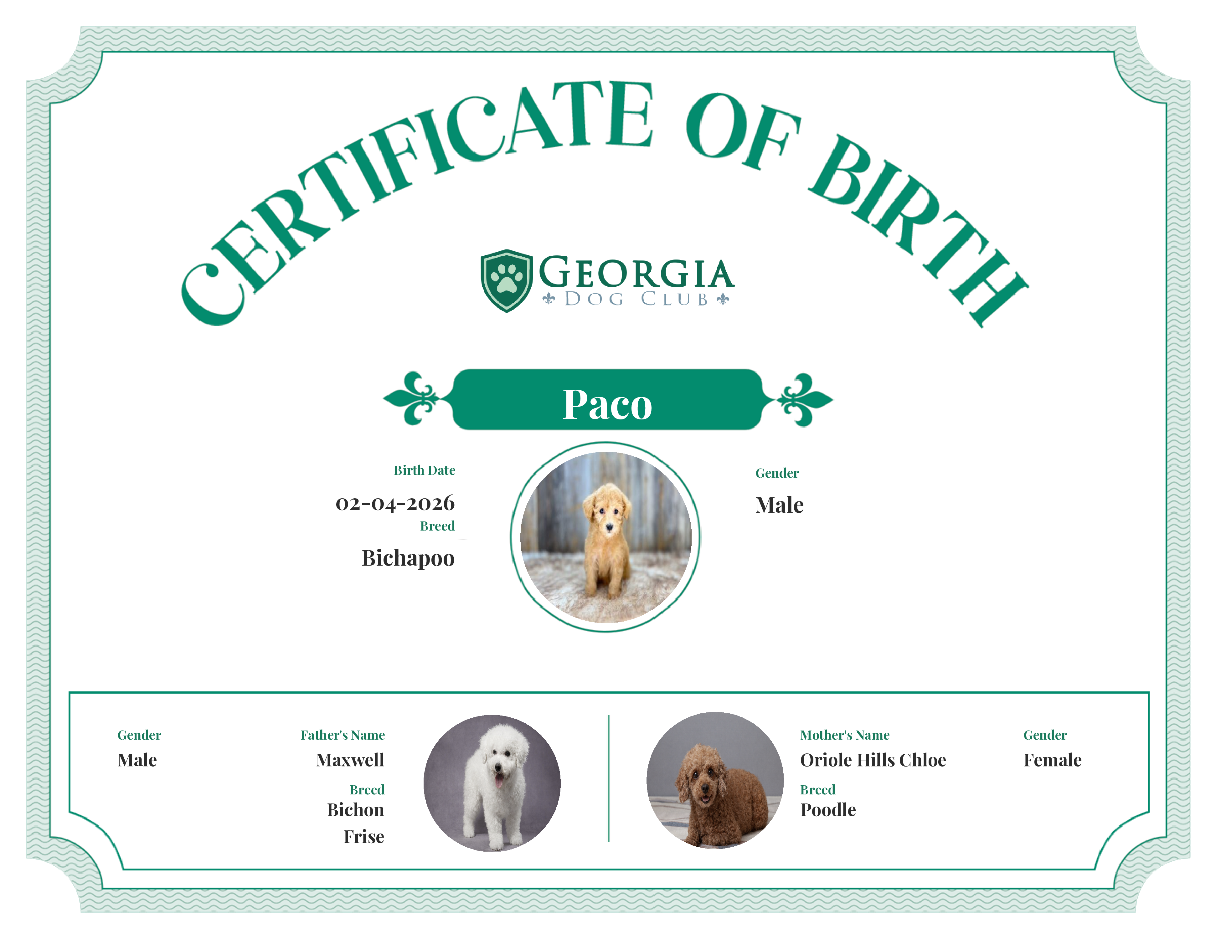 Paco's Birth Certificate