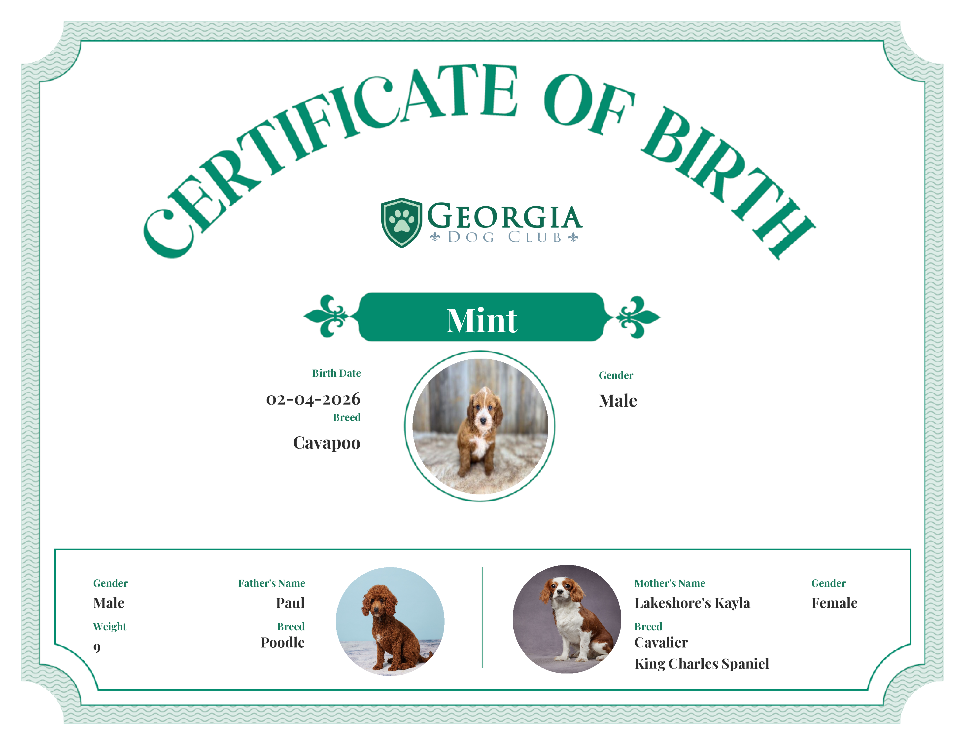 Mint's Birth Certificate