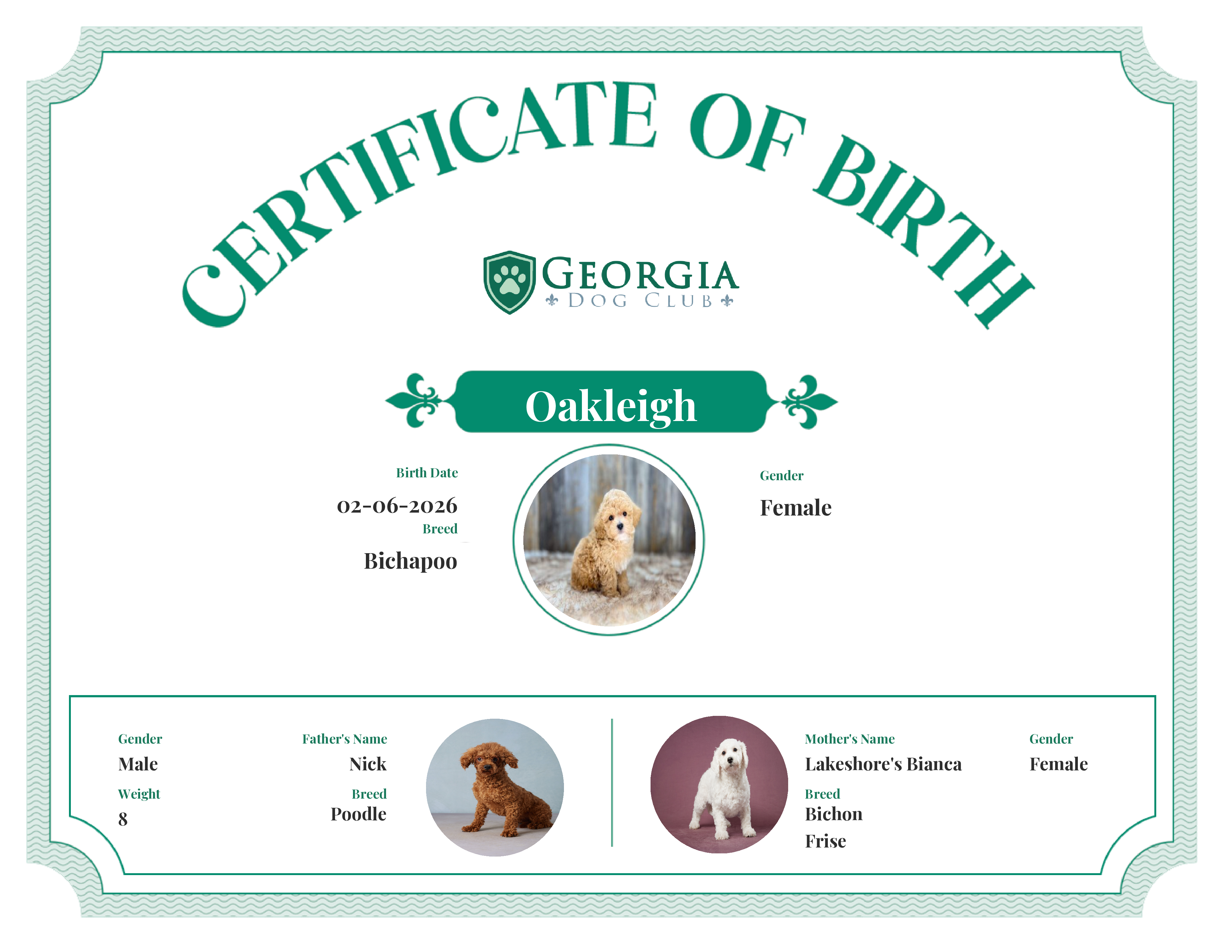 Oakleigh's Birth Certificate