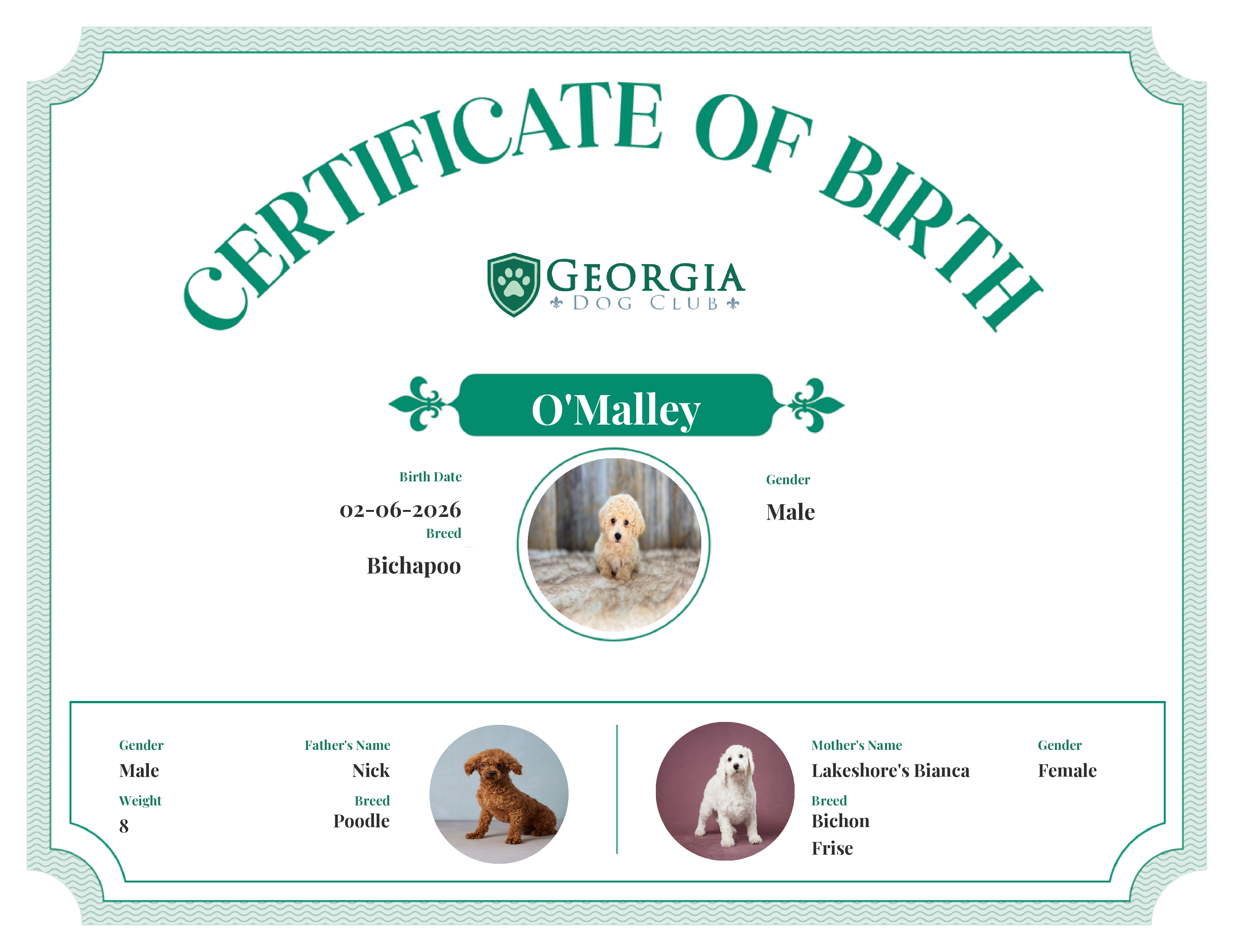 O'Malley's Birth Certificate