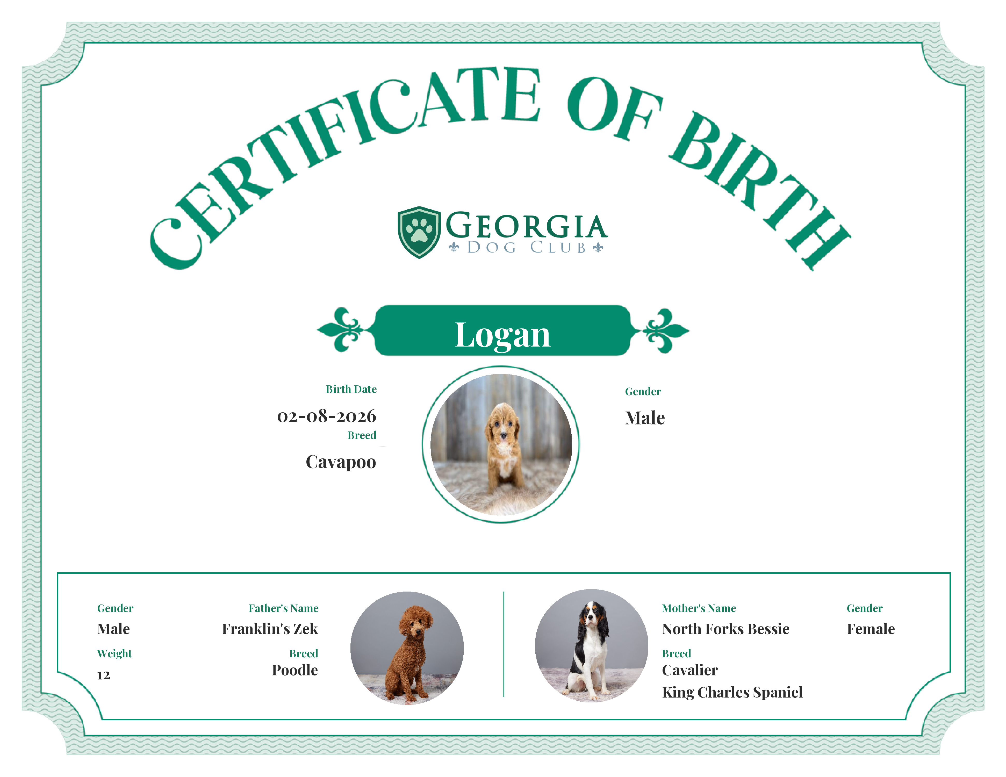 Logan's Birth Certificate