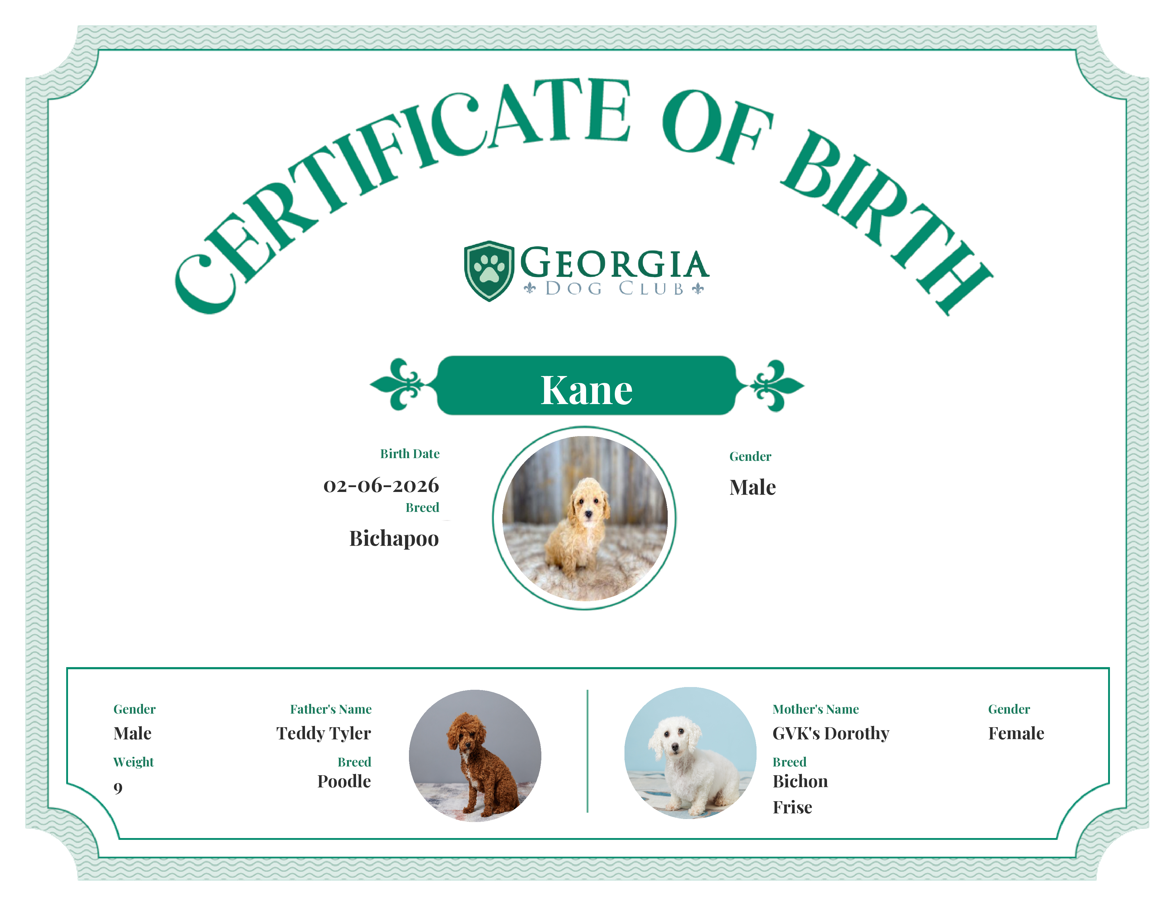 Kane's Birth Certificate