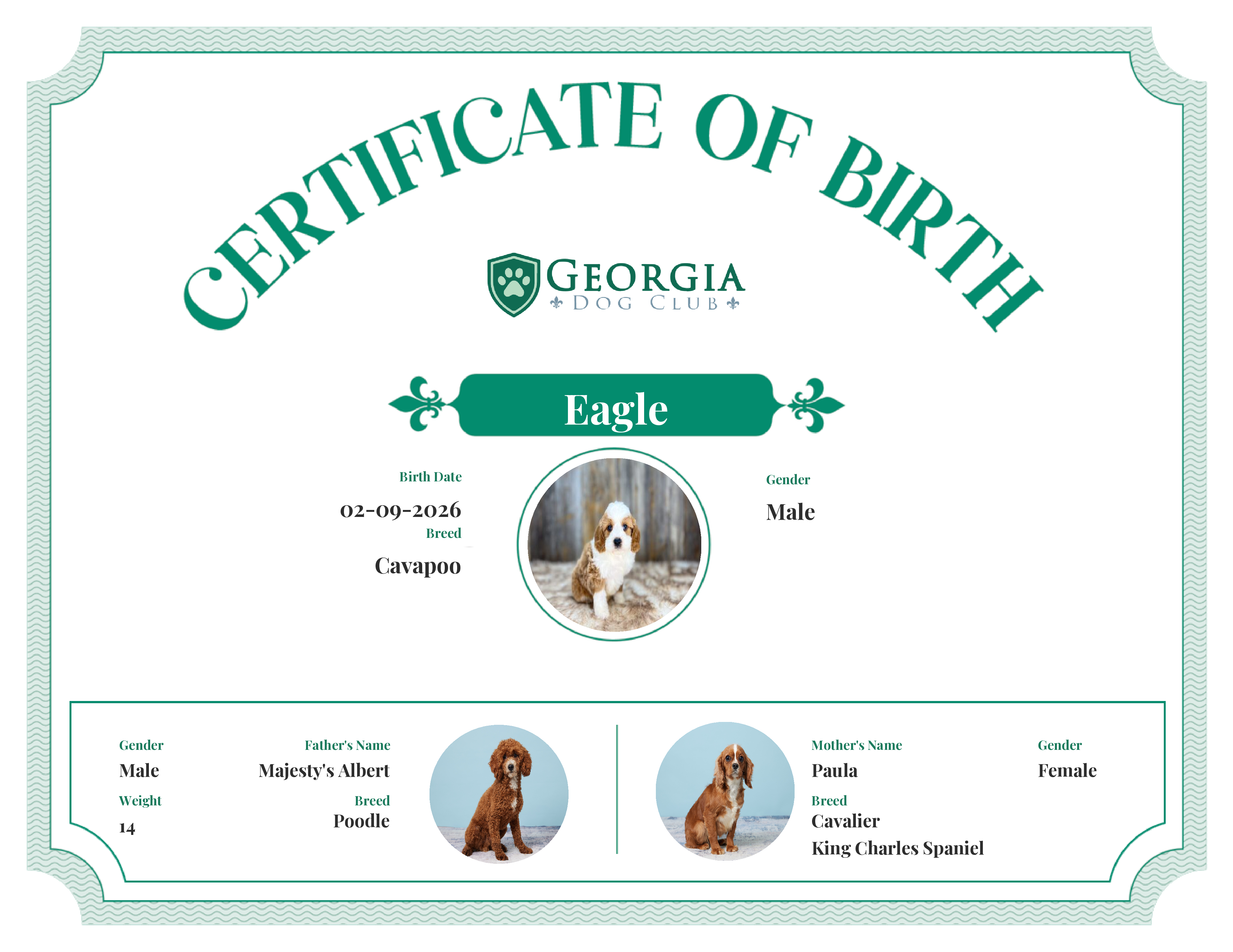 Eagle's Birth Certificate