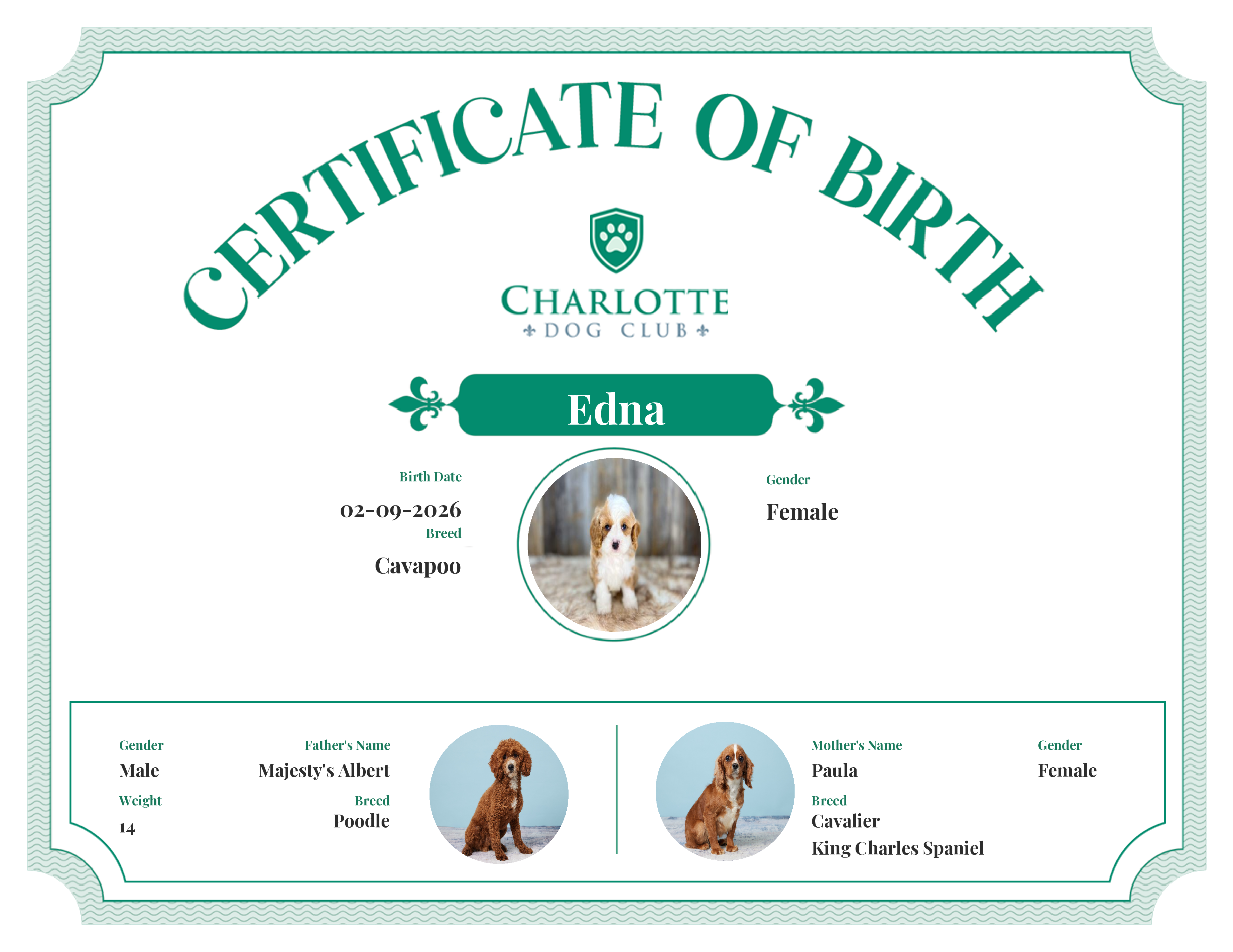 Edna's Birth Certificate