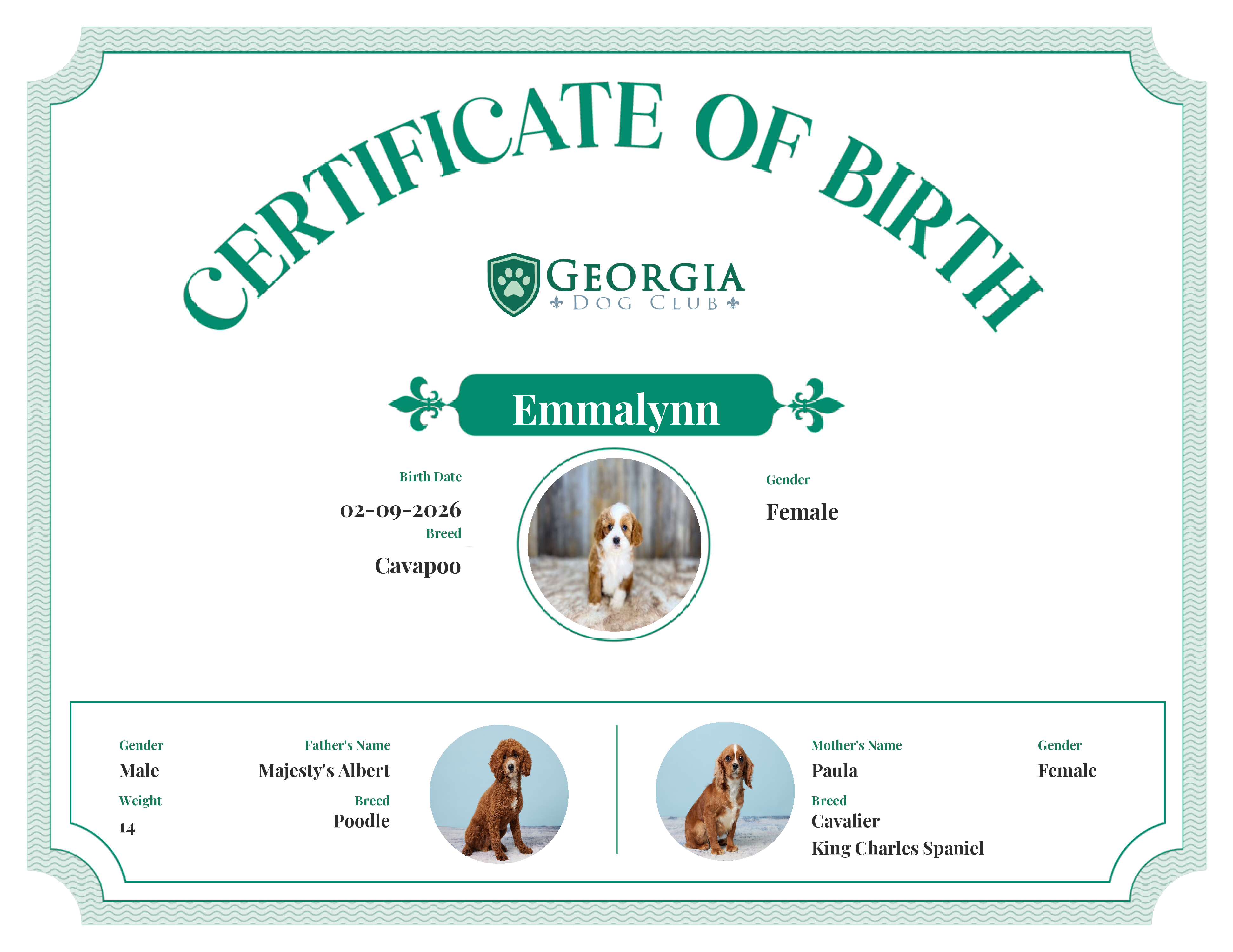 Emmalynn's Birth Certificate