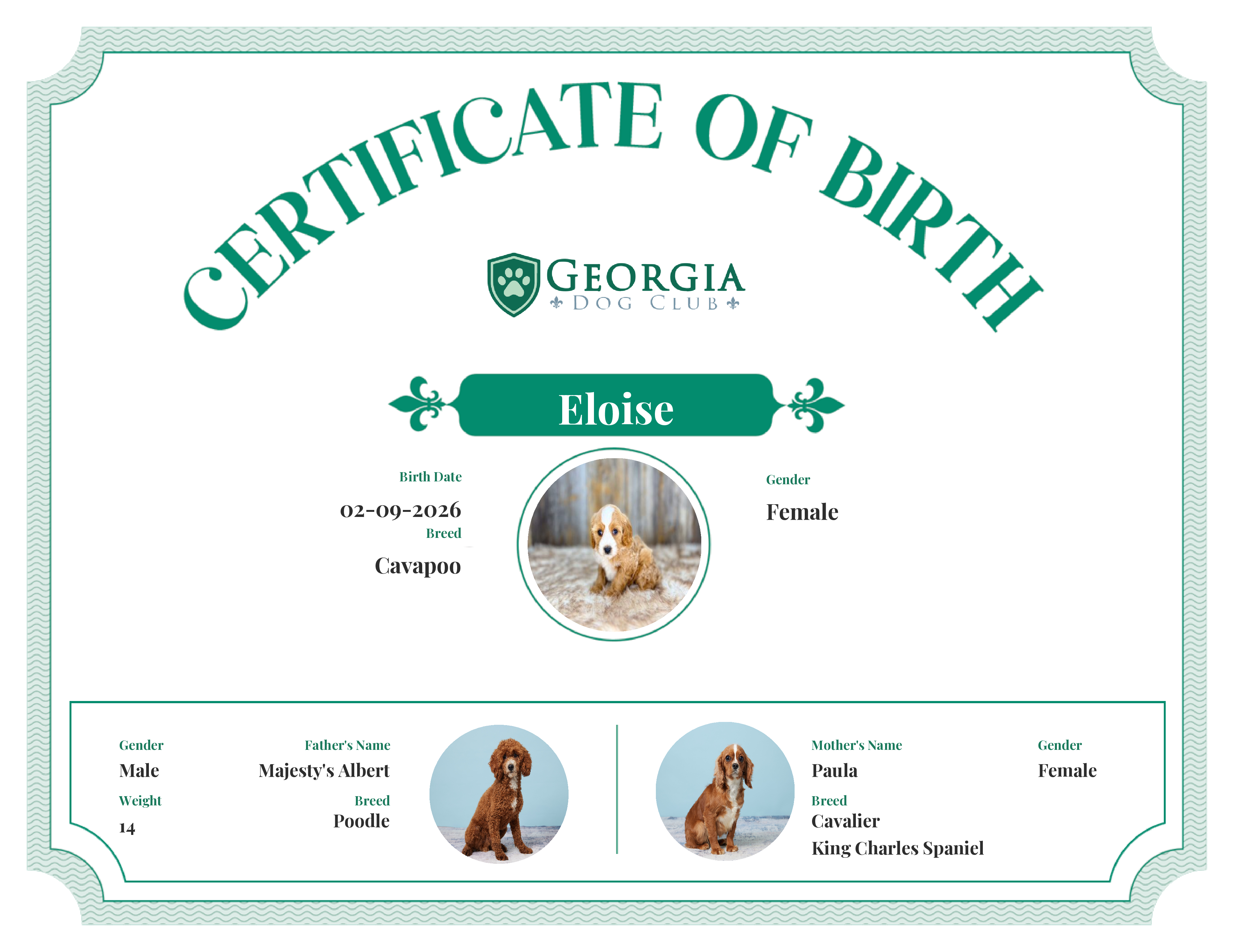 Eloise's Birth Certificate
