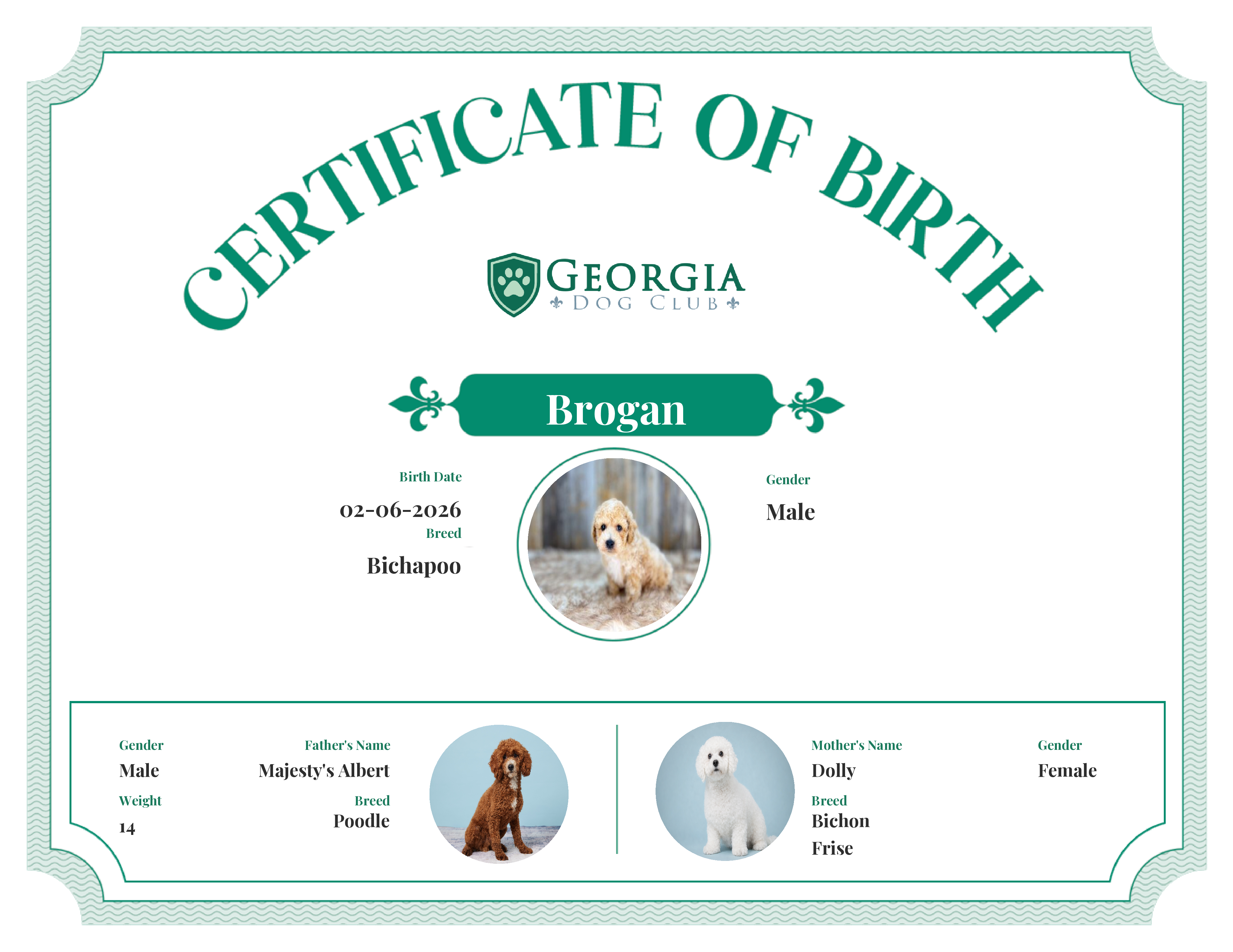 Brogan's Birth Certificate