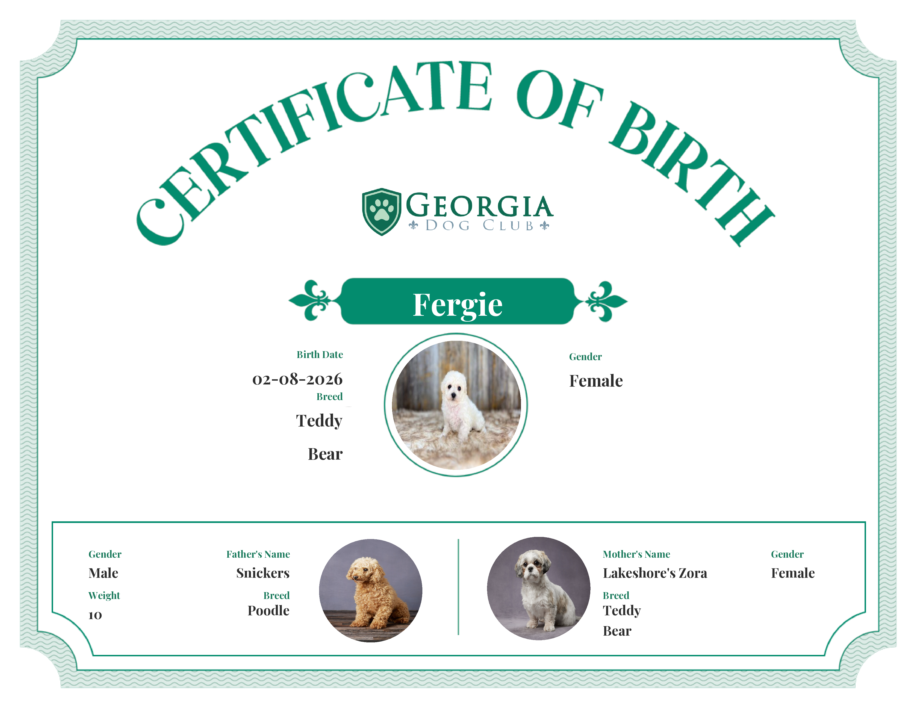 Fergie's Birth Certificate